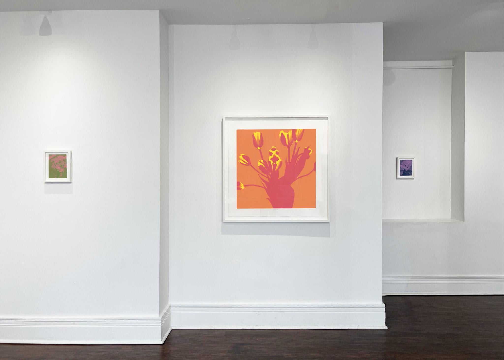 Images de l'installation par Em Joseph

Déclaration de l'artiste

Rachel Burgess réalise des œuvres autobiographiques sur papier représentant des paysages et des scènes domestiques. À l'échelle d'une fenêtre, ses œuvres combinent des éléments de la
