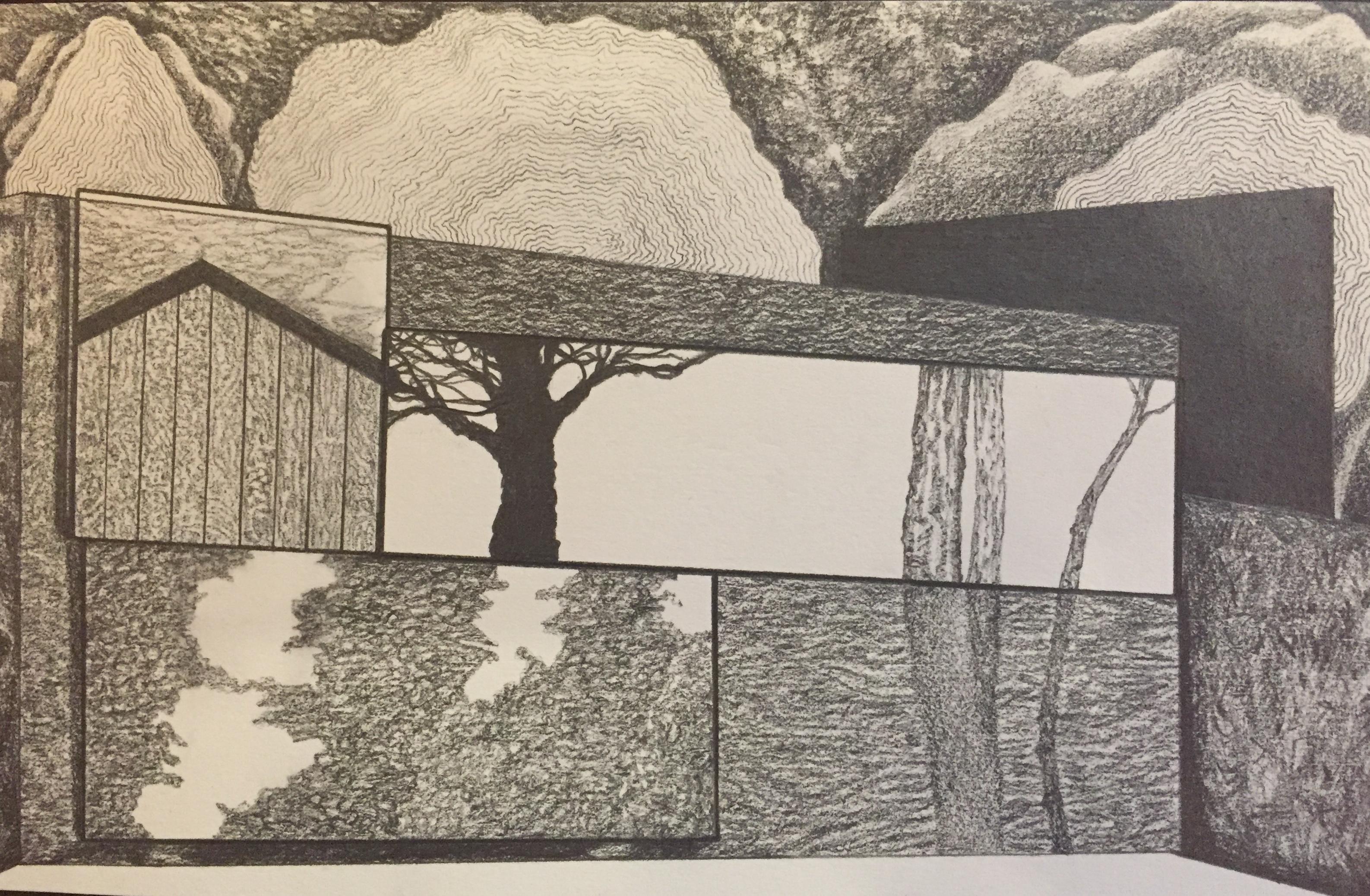 James Isherwood Figurative Art - Local Hemisphere, graphite on paper, segmented tree sketch, black and white