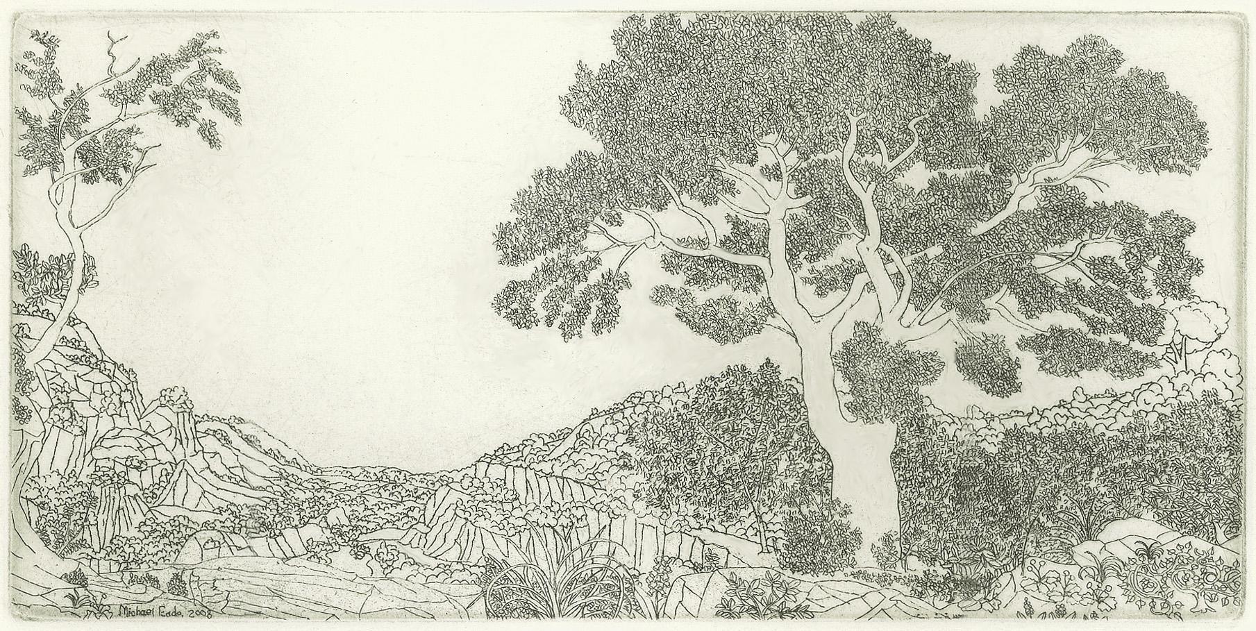 Michael Eade Landscape Print - Landscape No. 2, intricate etching of a forest on paper