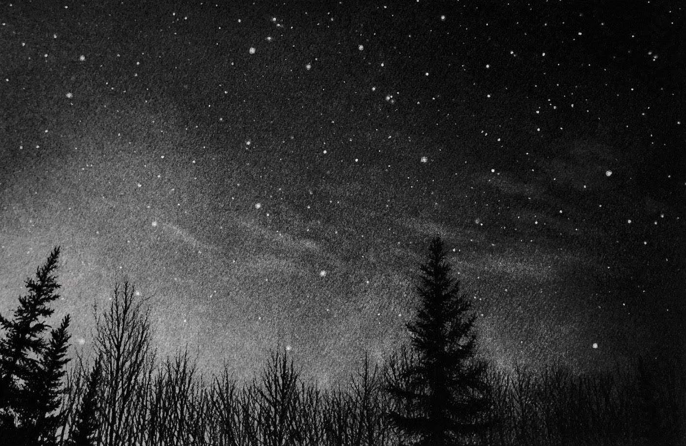 Katherine Curci Figurative Art - Winter Night in Canmore, black and white charcoal drawing of trees and sky
