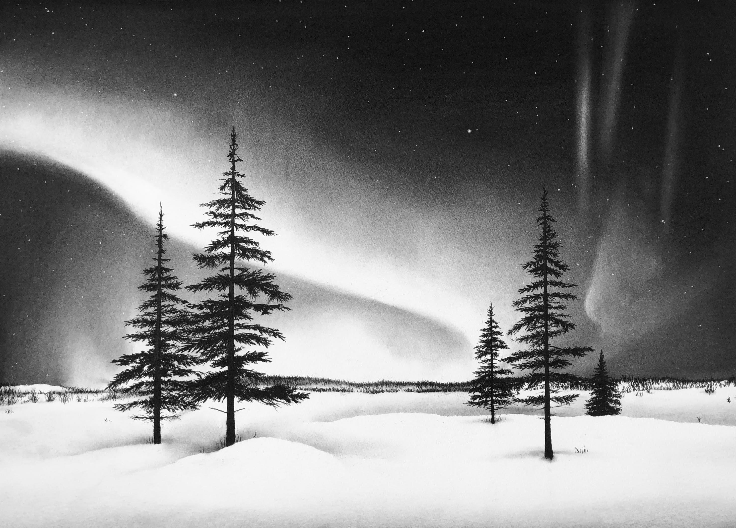 Katherine Curci Landscape Art - Dancing Lights, black and white charcoal drawing of aurora borealis in winter