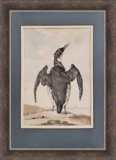 Set of four watercolors of various North American and European Birds