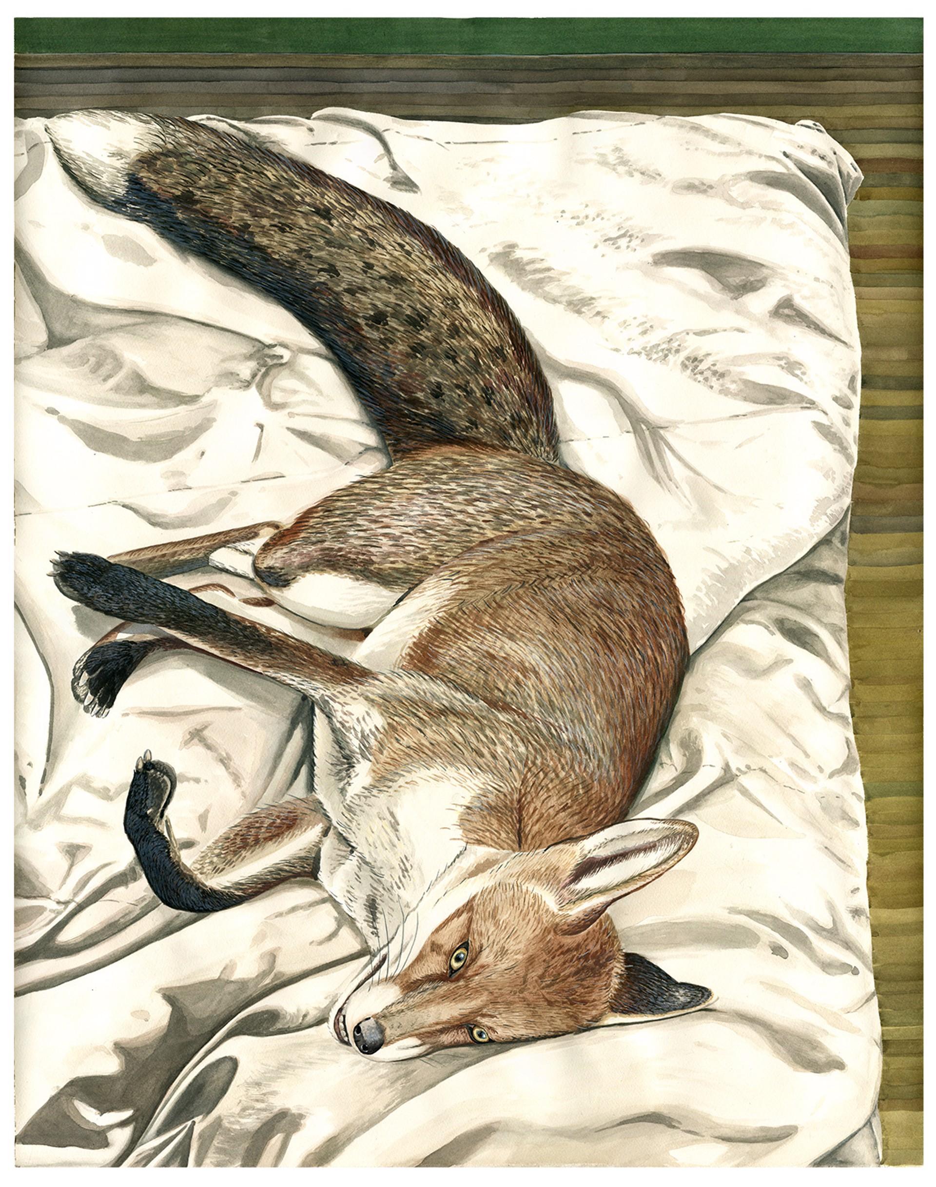 Adam Batchelor Animal Painting - Night Portrait, watercolor painting, animals, fox, brown and green
