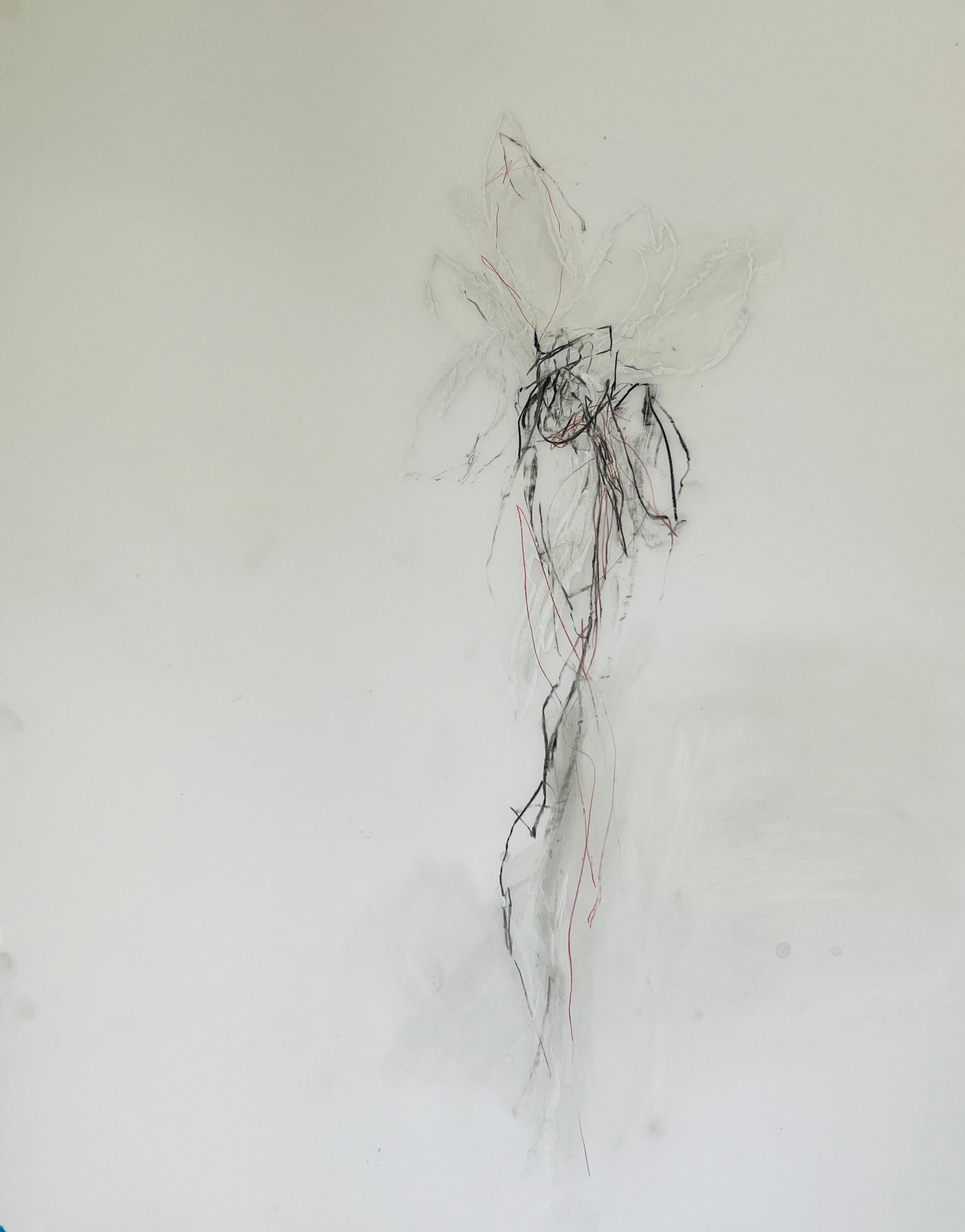 Flower Drawing, No. 1, graphite pencil and pastel on mylar paper - Art by Lisa Lightman