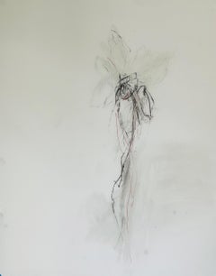 Flower Drawing, No. 1, graphite pencil and pastel on mylar paper