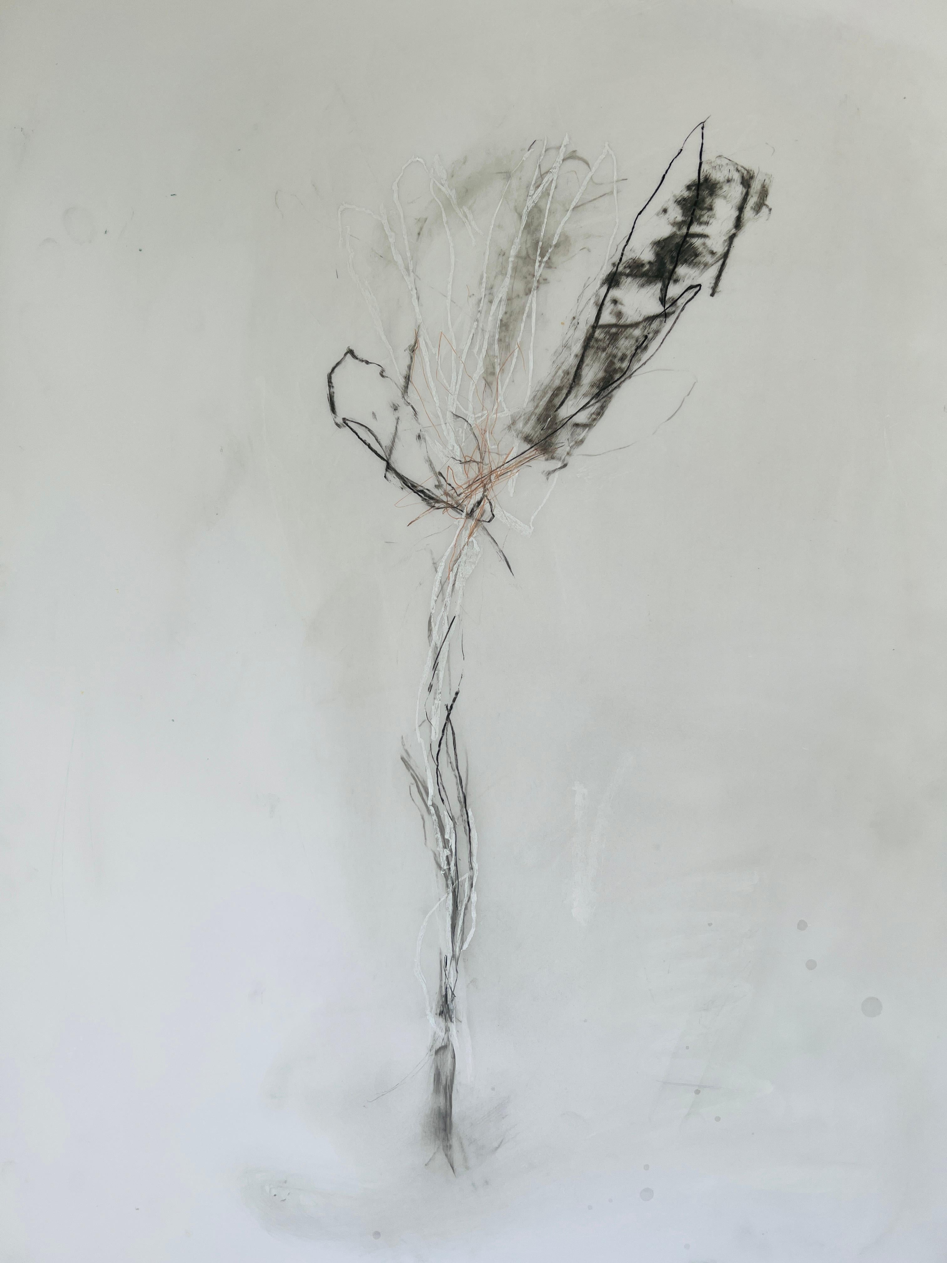 Flower Drawing, No. 2, Graphite and Pastel on Mylar Paper