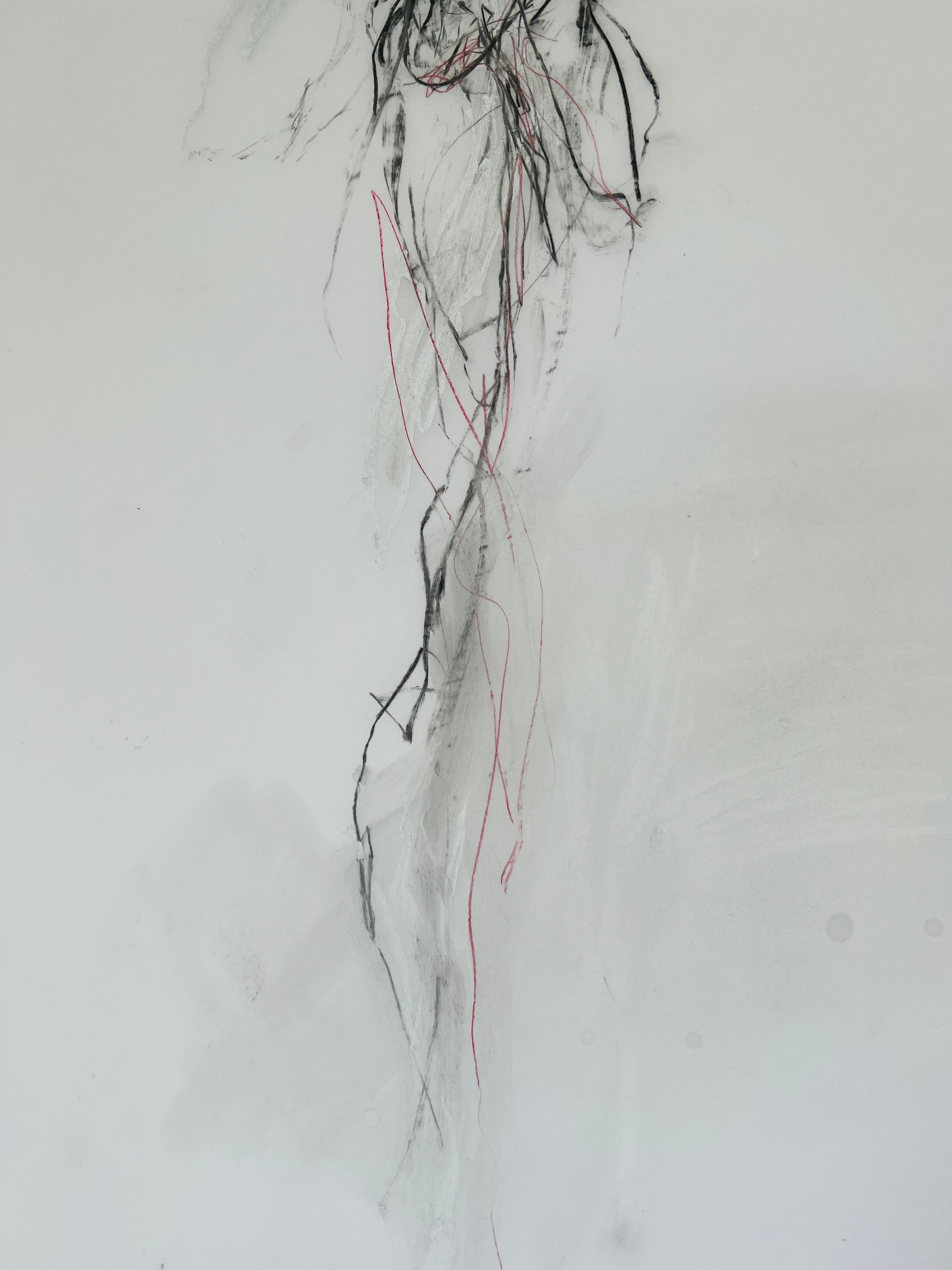 Flower Drawing, No. 1, graphite pencil and pastel on mylar paper - Contemporary Art by Lisa Lightman