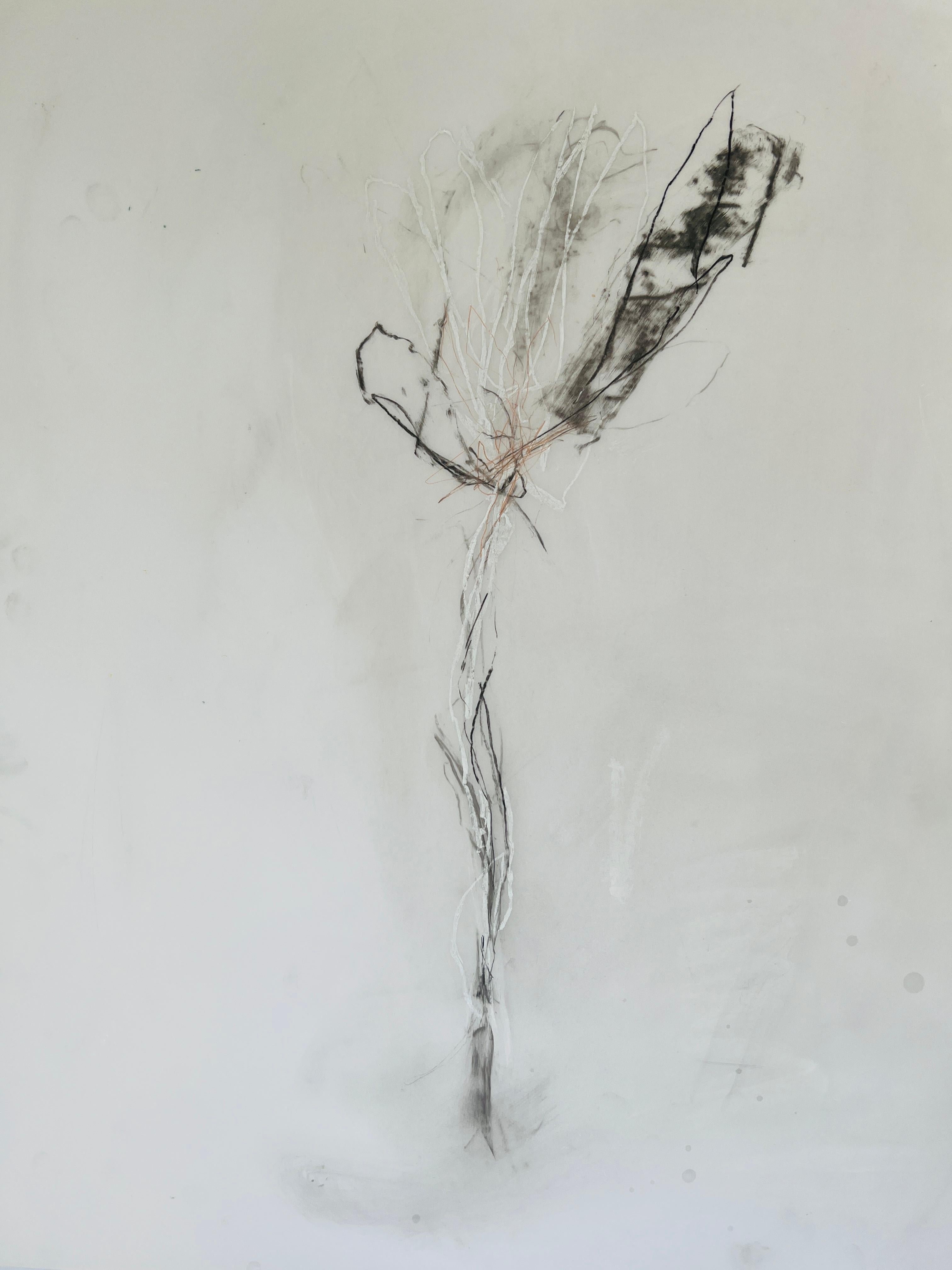 Flower Drawing, No. 2, Graphite and Pastel on Mylar Paper For Sale 2