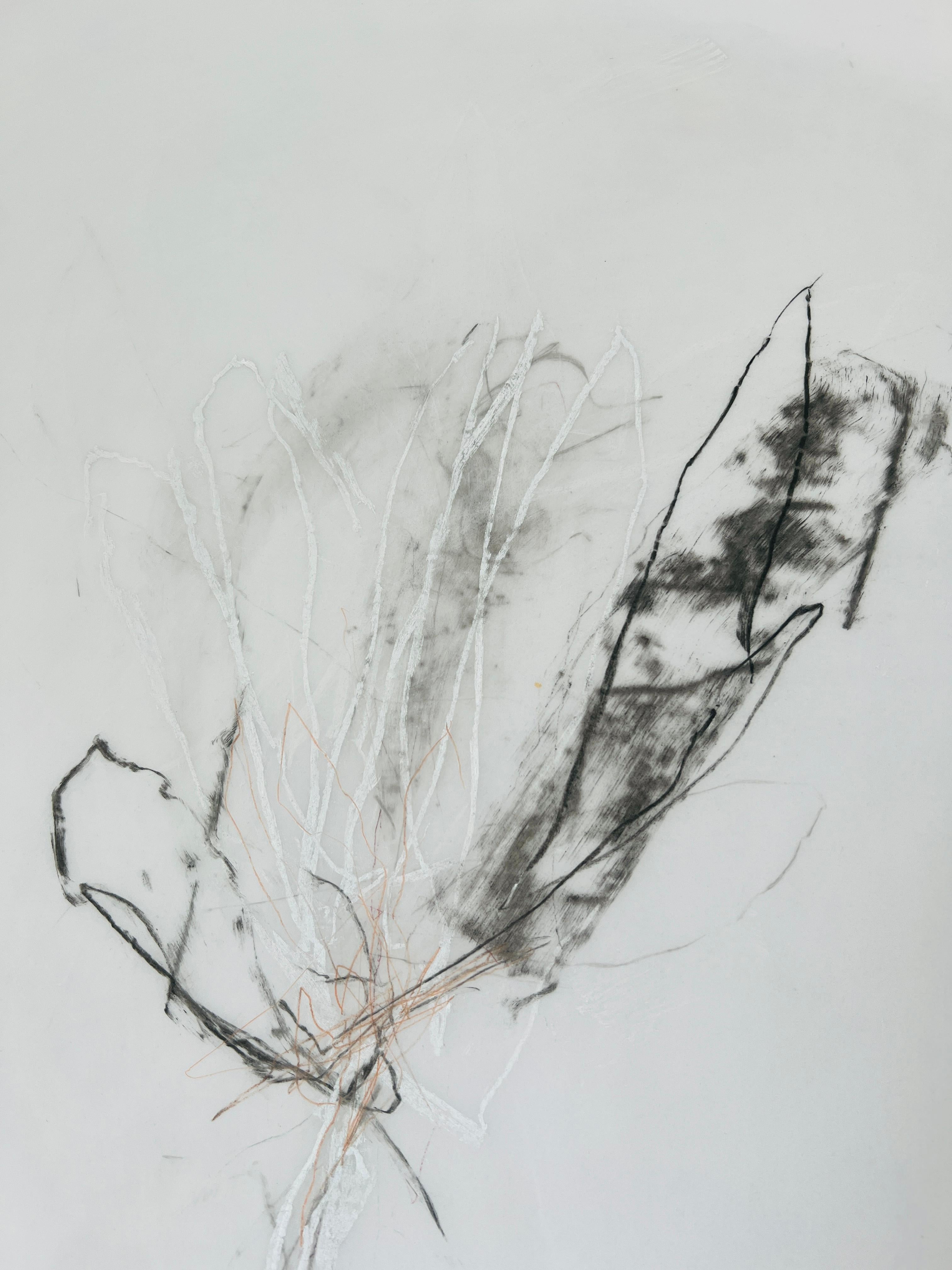Flower Drawing, No. 2, Graphite and Pastel on Mylar Paper - Contemporary Art by Lisa Lightman