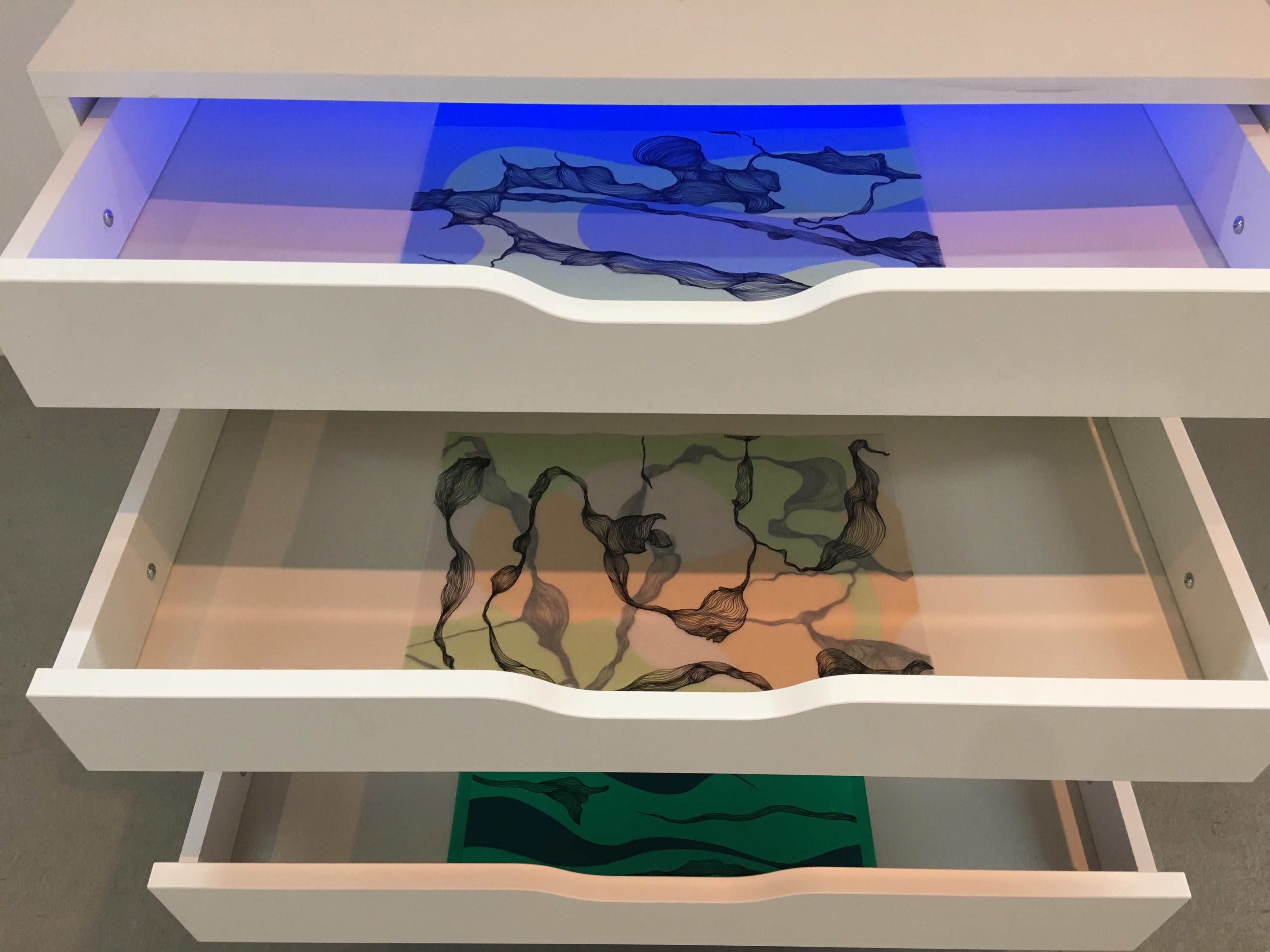 Deanna Lee, Color Forms Cabinet, 2018, site specific installation in readymade 1