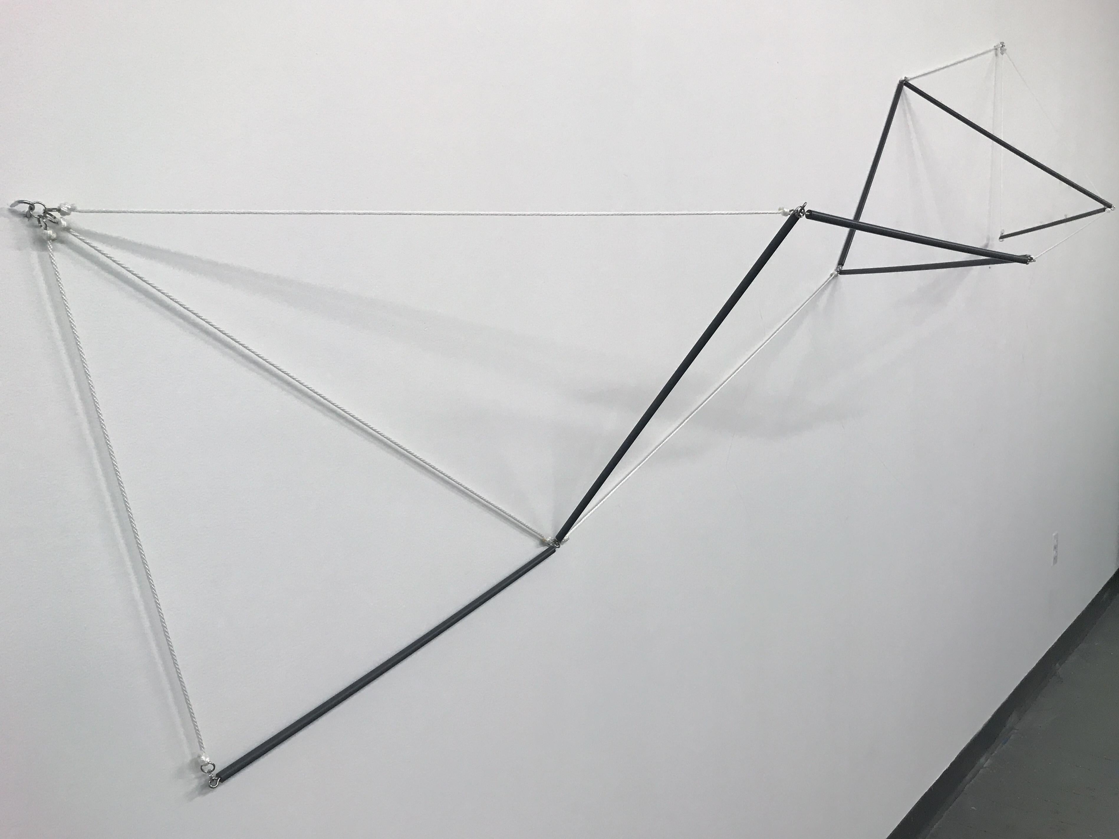 Flipside, 2018, Polyesterschnur, PVCstange, Edelstahlstahl, 96 x 42,5 x 17,5 Zoll – Sculpture von Daniel G. Hill