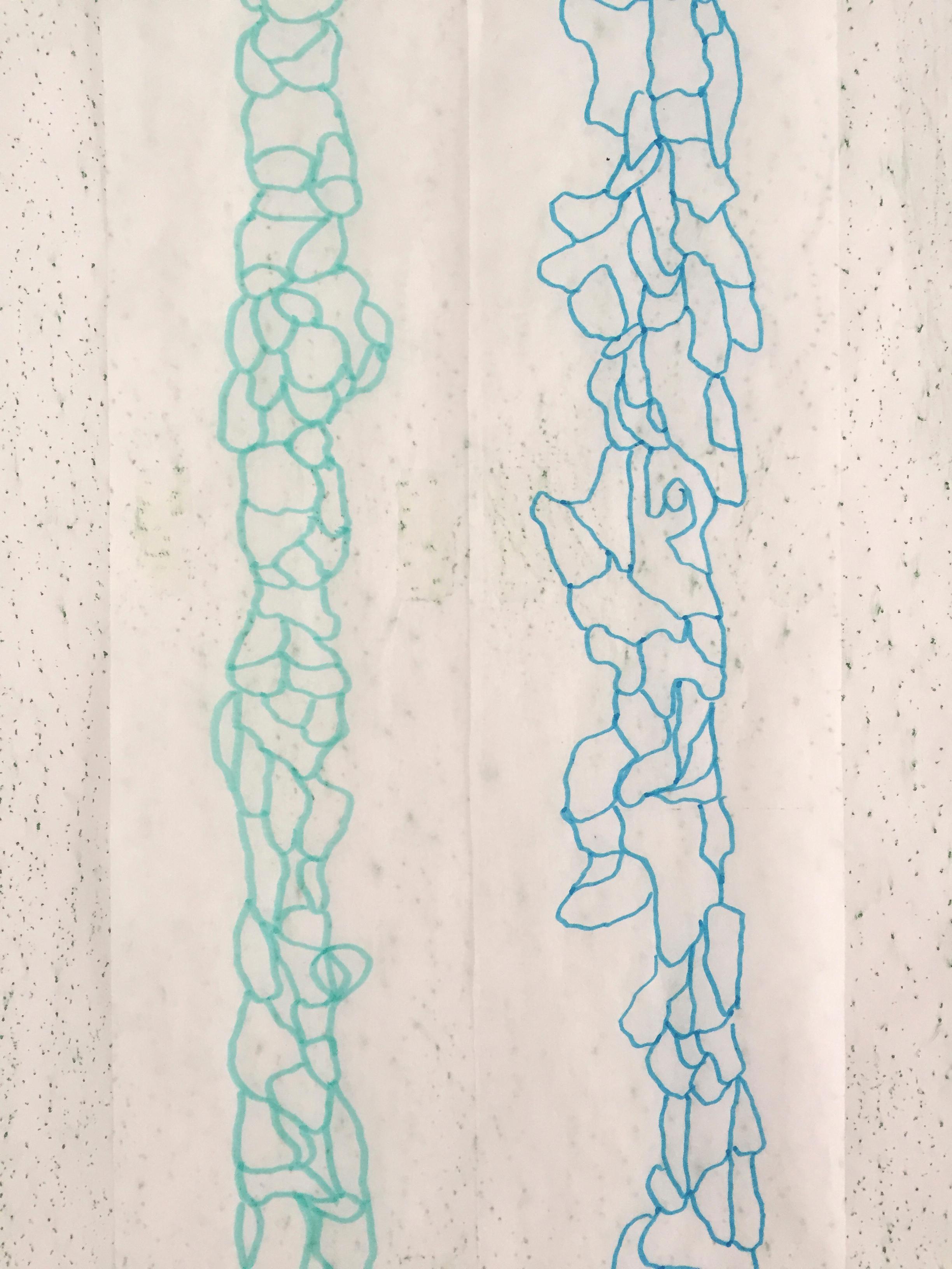 Deanna Lee, Surface Transcriptions-Long Wall, 2019, site responsive drawing 1