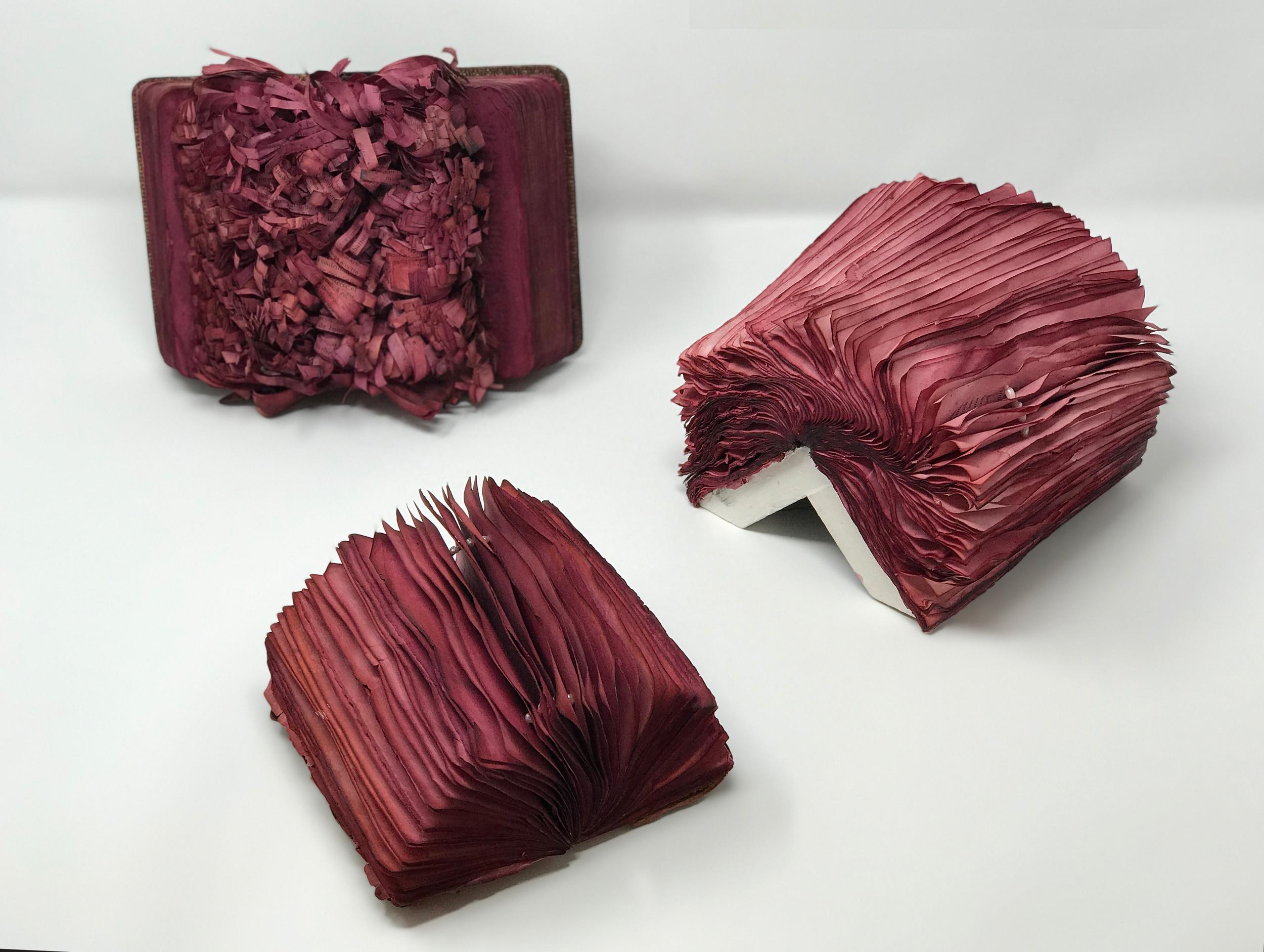 Patricia Miranda, Florilegium Series, 2016, tinture di cocciniglia, libri antichi, perle