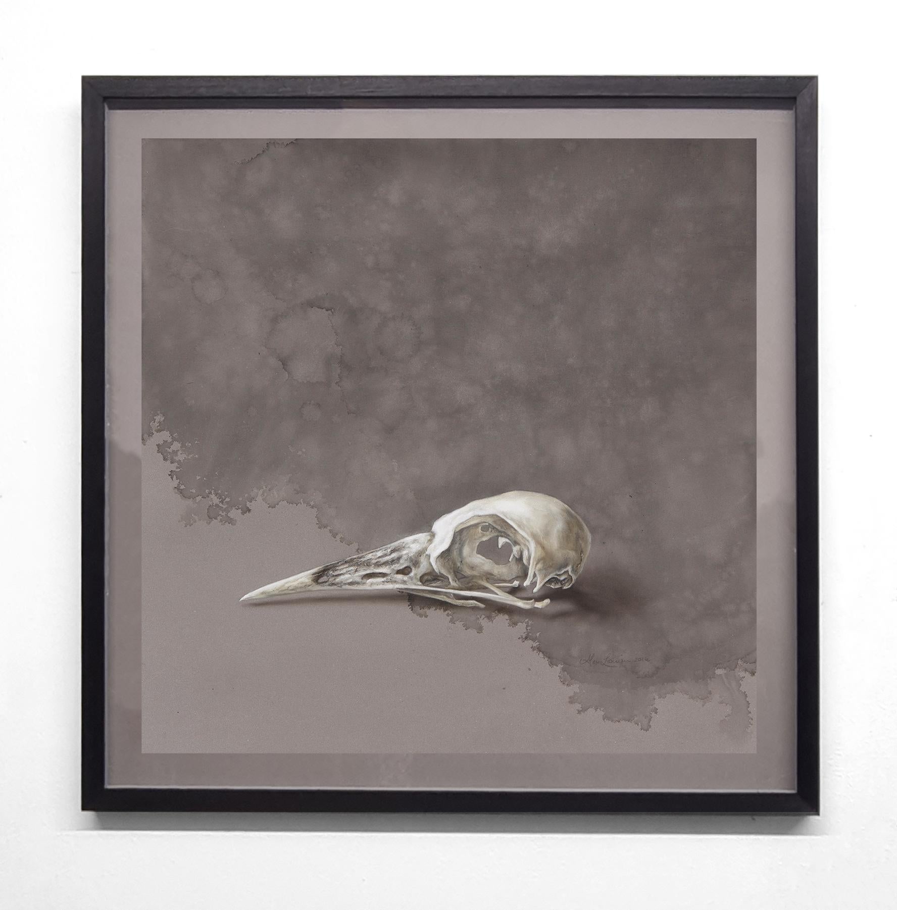 Magpie skull - Art by Alex Louisa