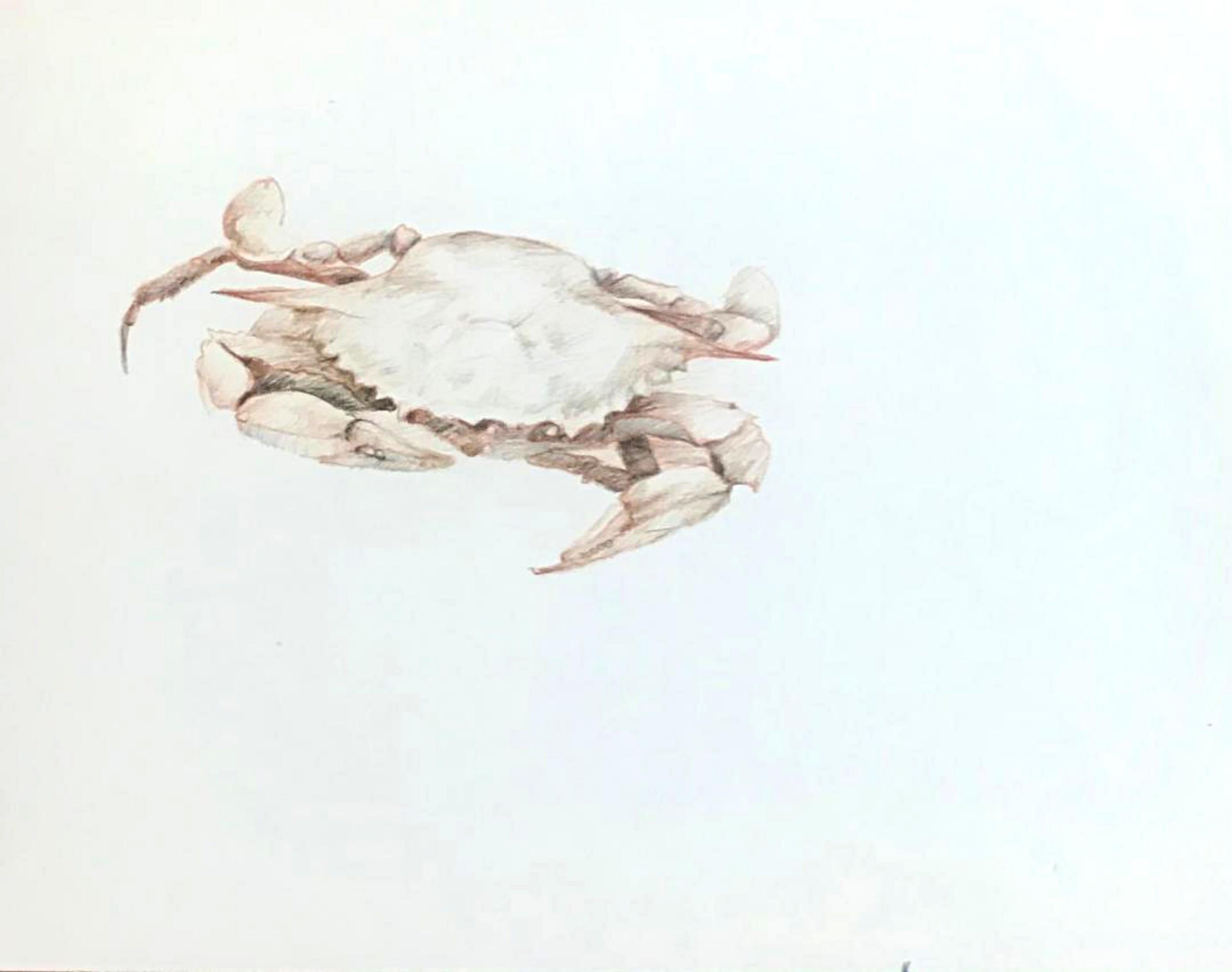 Tony Oursler Abstract Drawing - Crab (with traveling Museum Exhibition documentation)