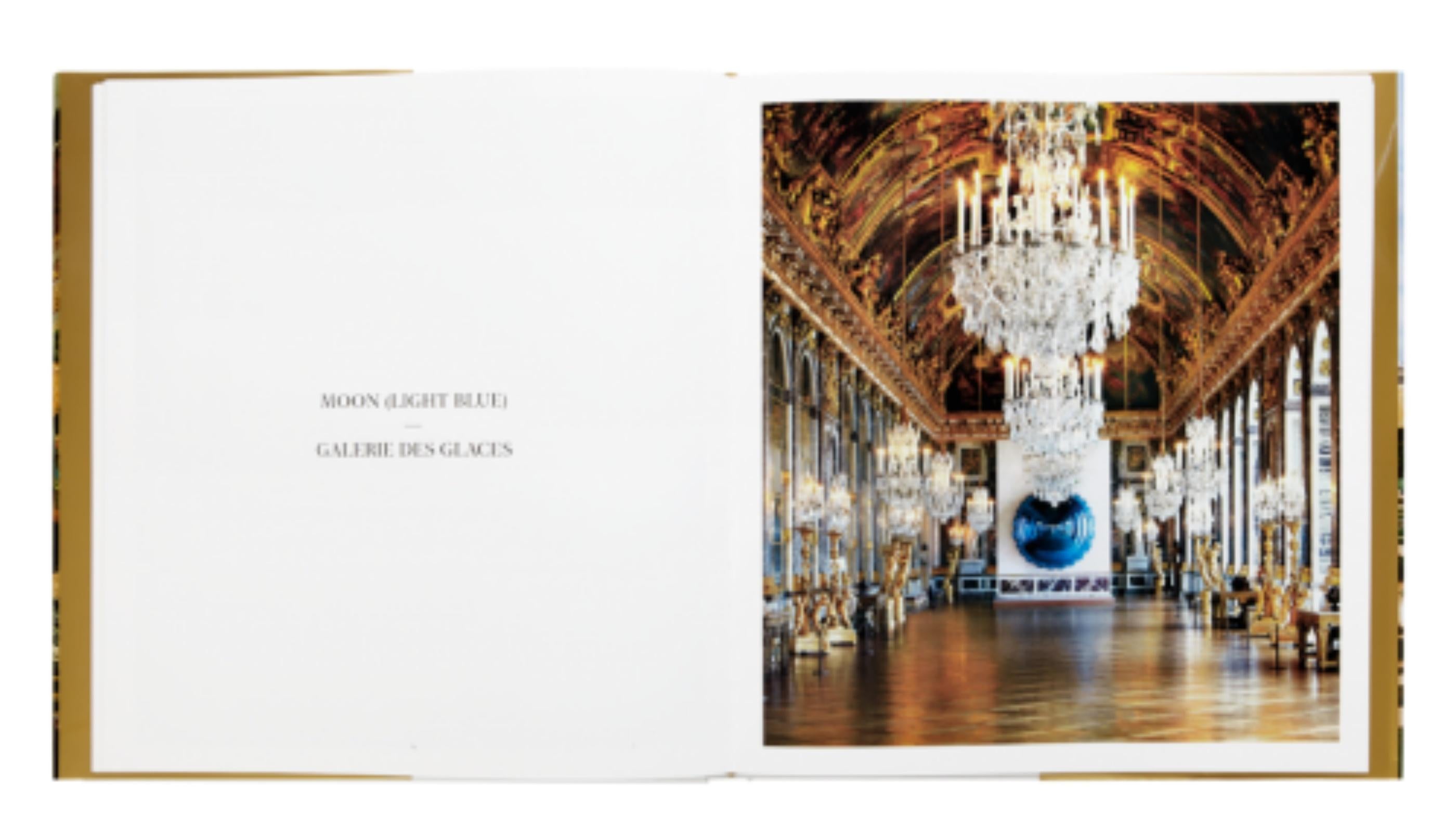 Fleurs et soleil dessin signé & daté dans Versailles monographie Pop art paysage - Marron Landscape Art par Jeff Koons