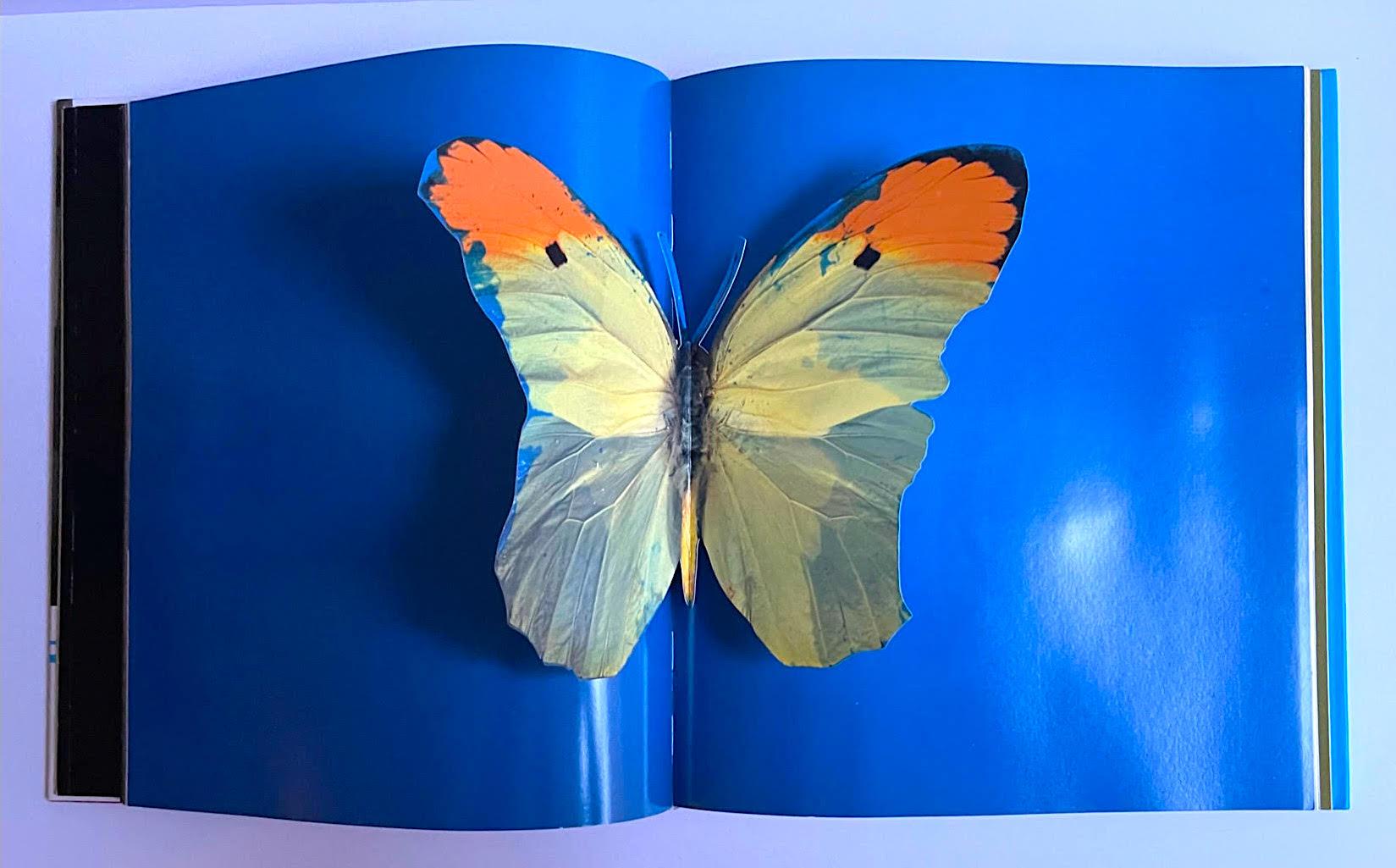 First edition hardback monograph (hand signed and inscribed by Hirst with heart) For Sale 3