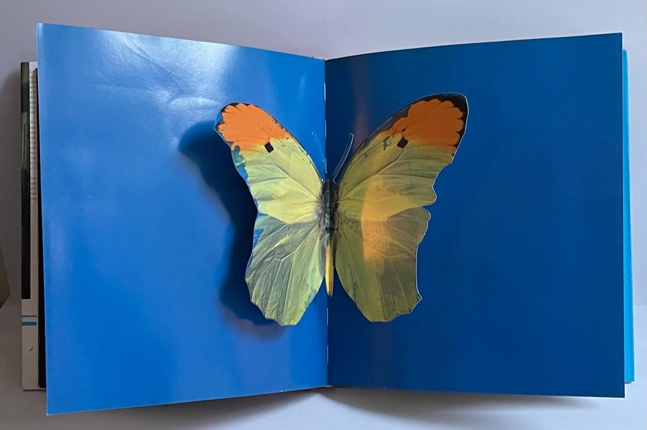 First edition hardback monograph (hand signed and inscribed by Hirst with heart) For Sale 7