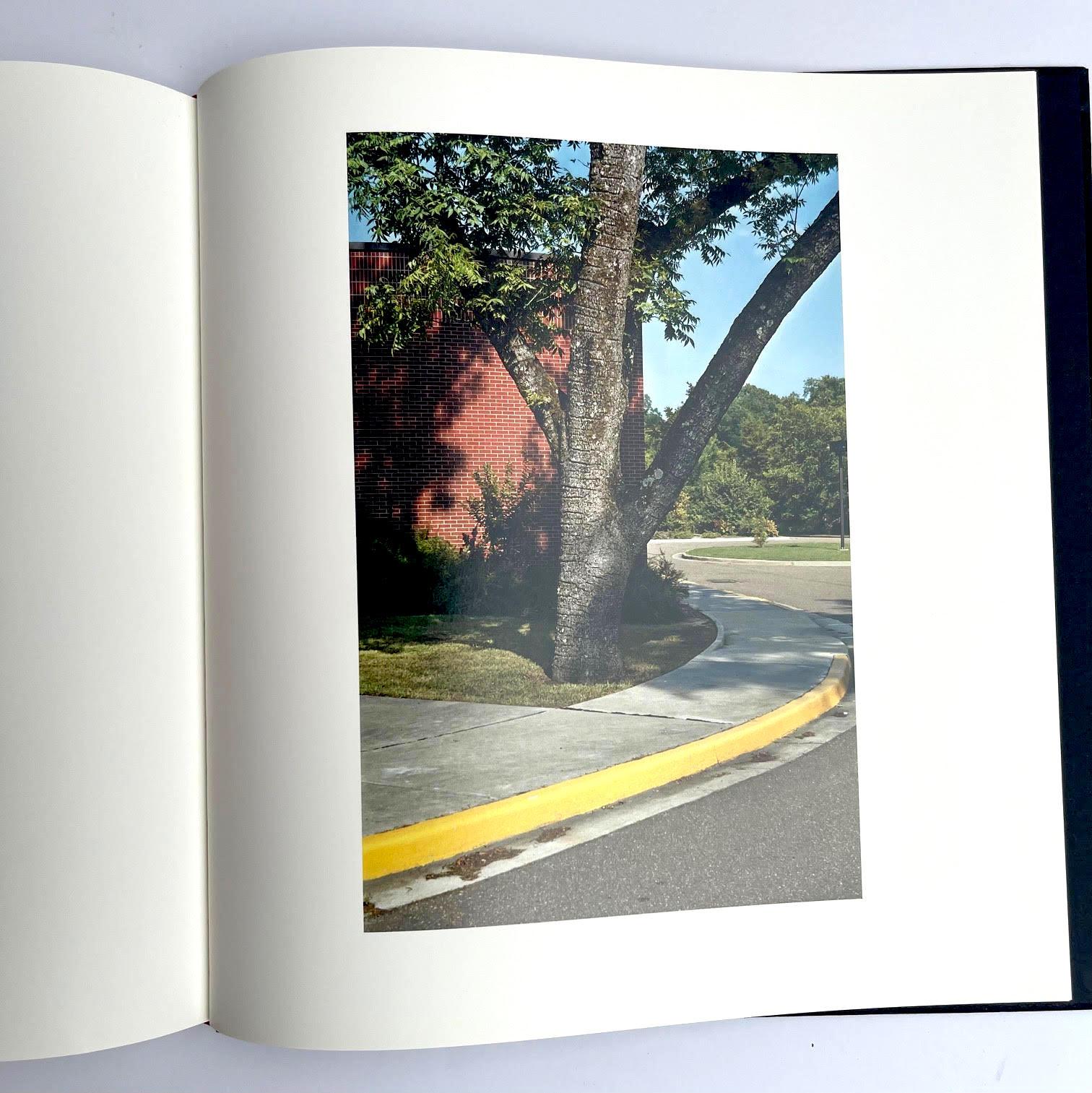 William Eggleston The Democratic Forest Selected Works (Hand signed) For Sale 11