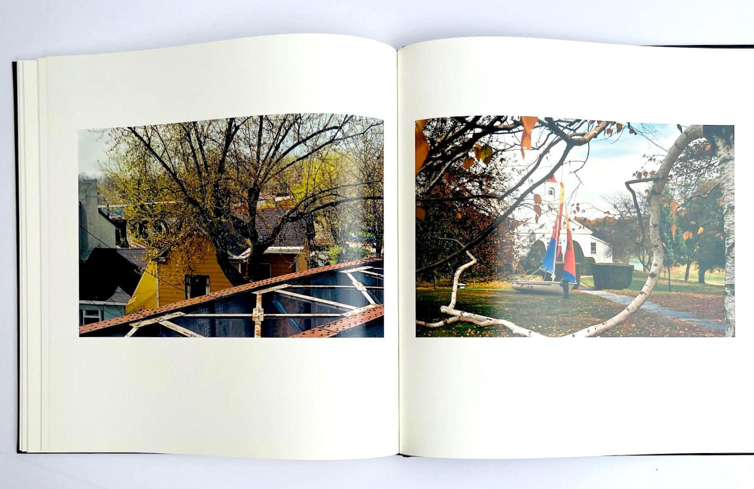 William Eggleston The Democratic Forest Selected Works (Hand signed) For Sale 10