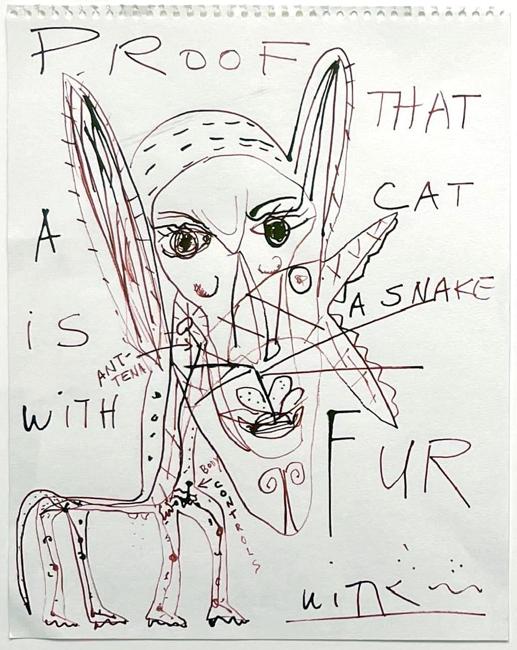 Proof that a Cat is a Snake with Fur, from the Patrick Eddington Cat Project - Art by Jerome Witkin