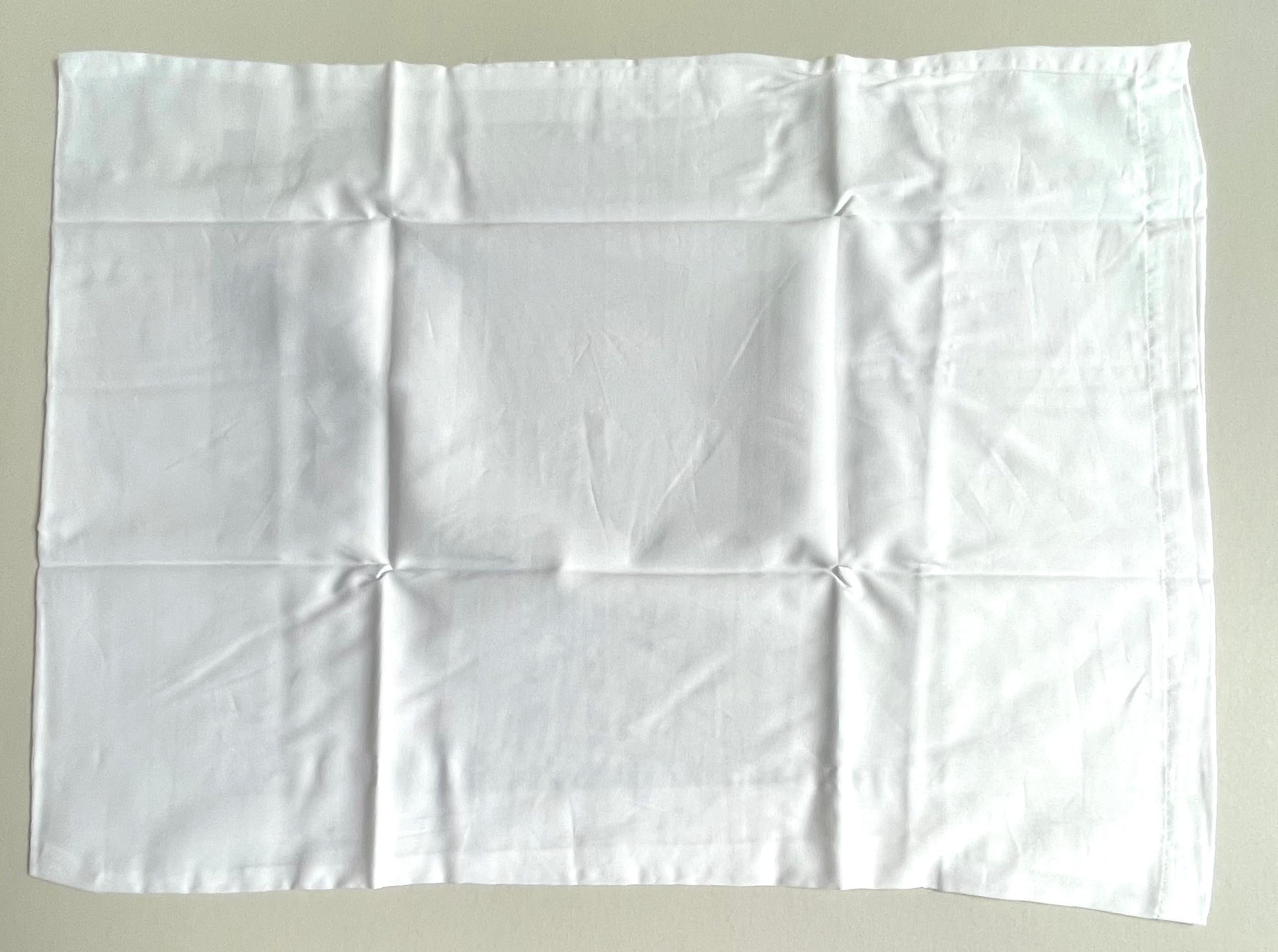 Dos fundas de almohada serigrafiadas (una firmada a mano por Baldessari) en caja a medida en venta 5