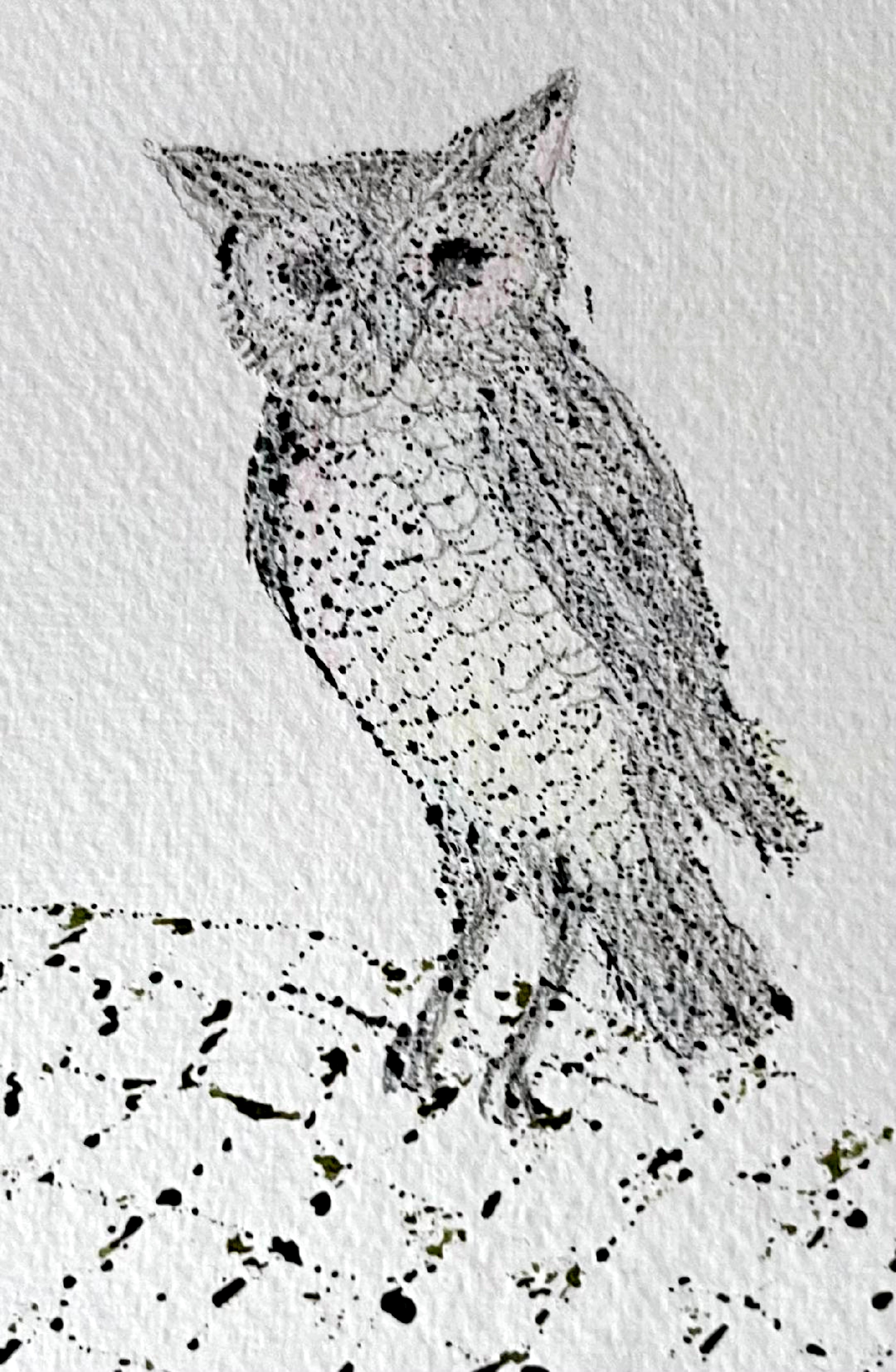Kiki Smith
Gufo e Stella, 2007
Monoprint con glitter applicati a mano, acquerello, matita su carta acquerello lanaquarelle
Firmato a matita e datato dall'artista sul fronte
Cornice inclusa: elegantemente fluttuante e incorniciata in una cornice di