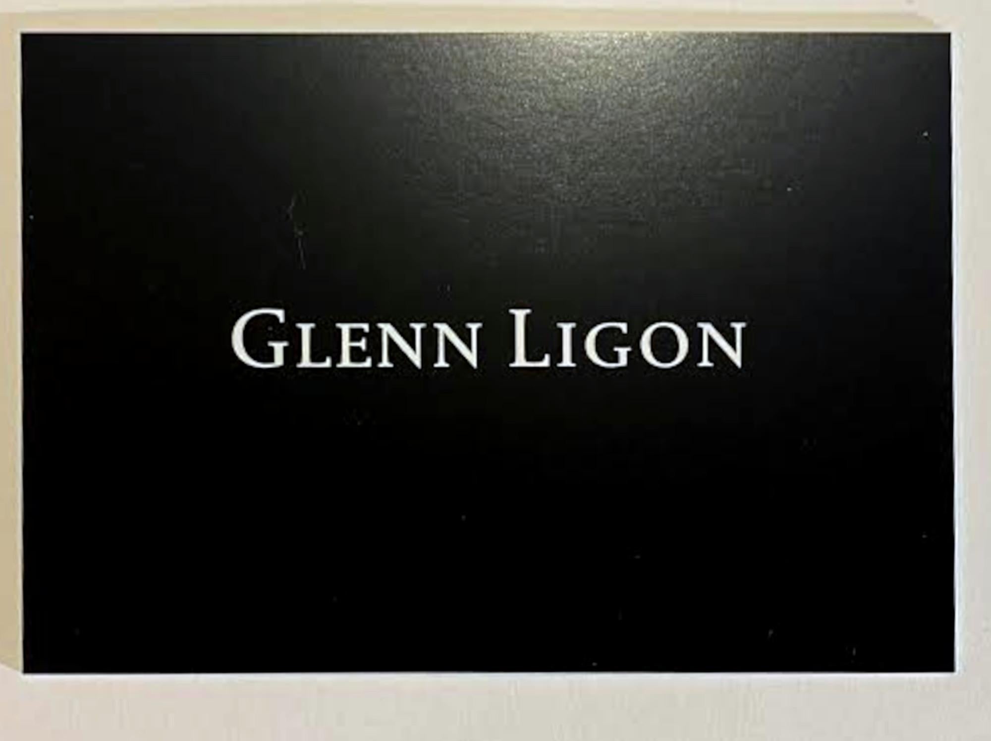 Art book: 30 Americans artists (hand signed and dated by Glenn Ligon) For Sale 6