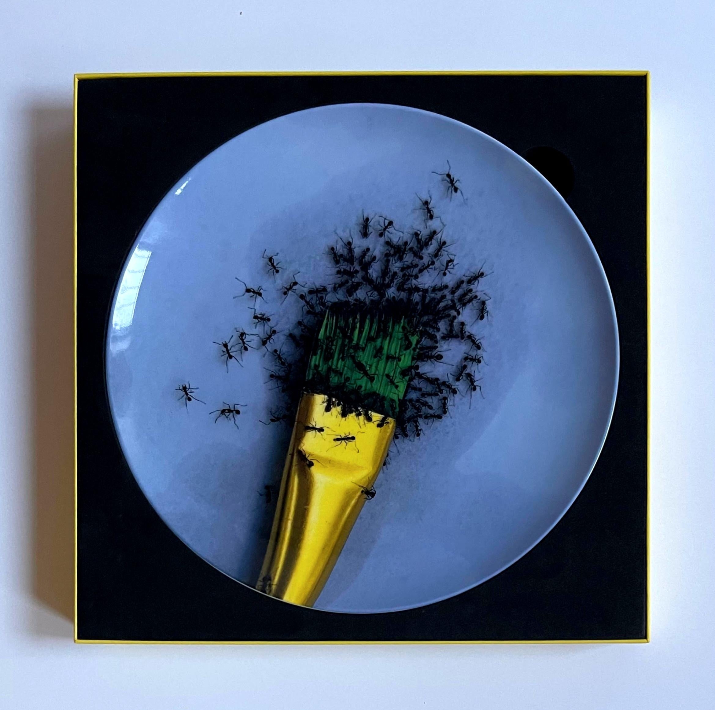 Untitled limited edition porcelain/ceramic plate in bespoke gift box (new)  For Sale 1