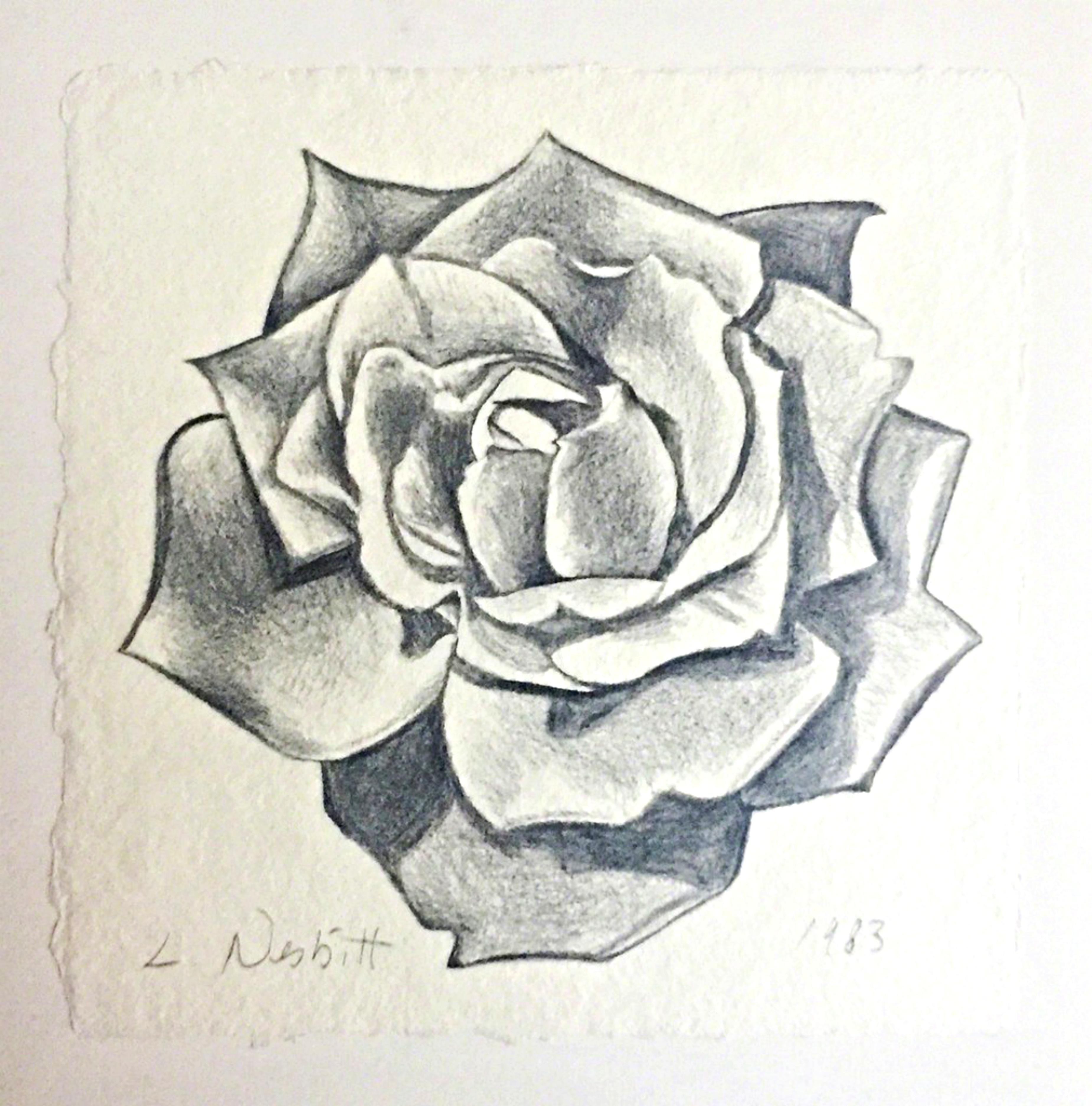Lowell Nesbitt Still-Life – Exquisit  Zeichnung von Rose (unique) aus Graphit, handsigniert mit Provenienz
