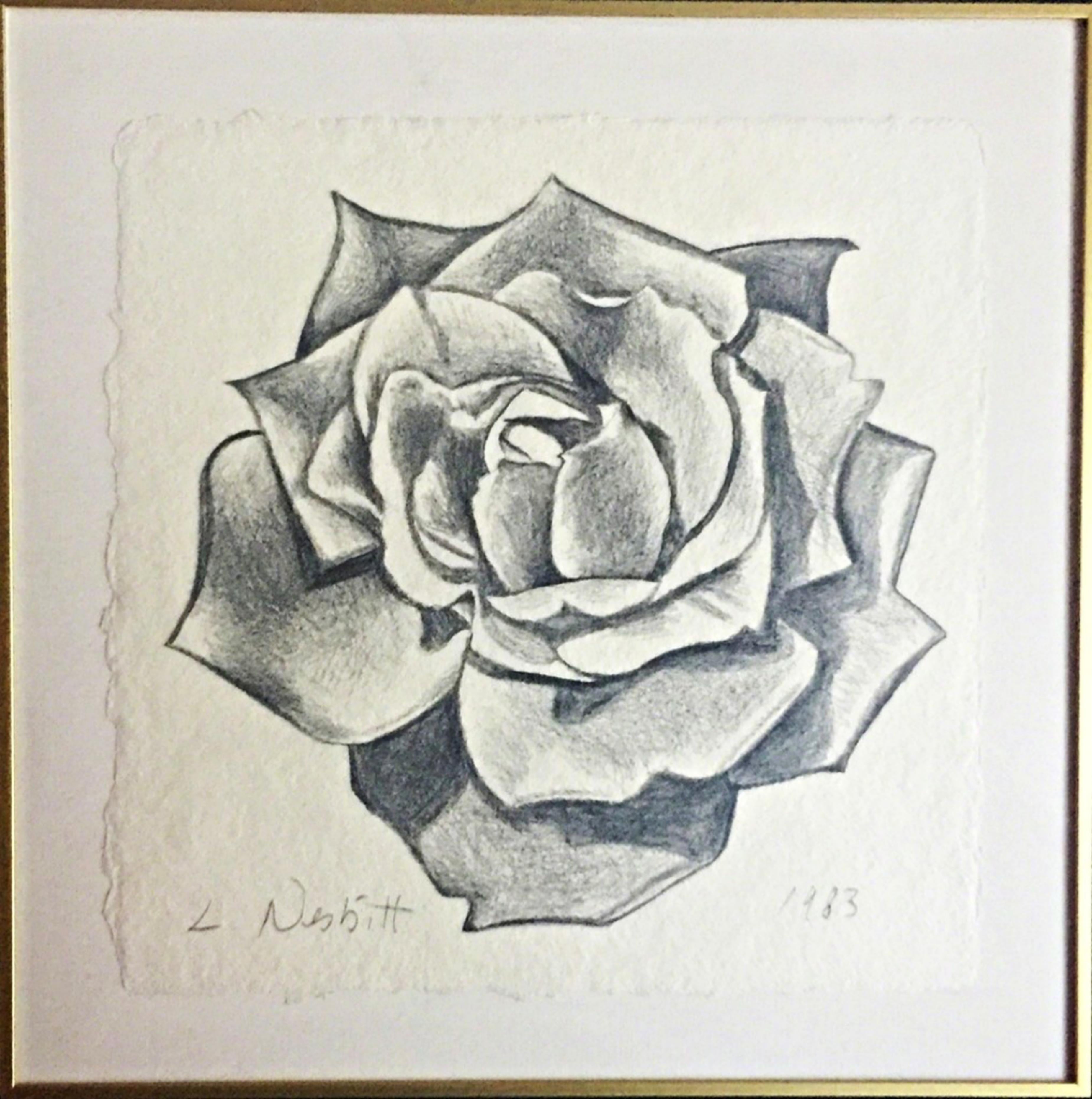 Exquisit  Zeichnung von Rose (unique) aus Graphit, handsigniert mit Provenienz – Art von Lowell Nesbitt