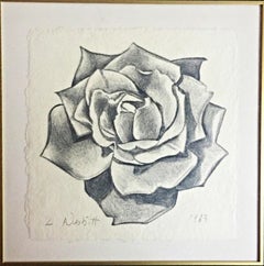 Exquisite  Rose Drawing (unique) done in graphite, hand signed with provenance