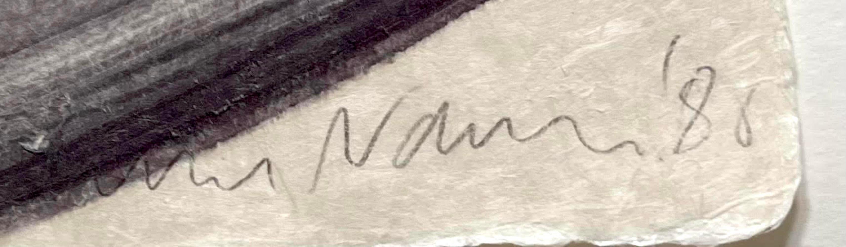 Jamie Nares, Original Blumen monotypie (unique, handsigniert) Gerahmt, Nichtzugänglichkeit (Zeitgenössisch), Art, von James Nares