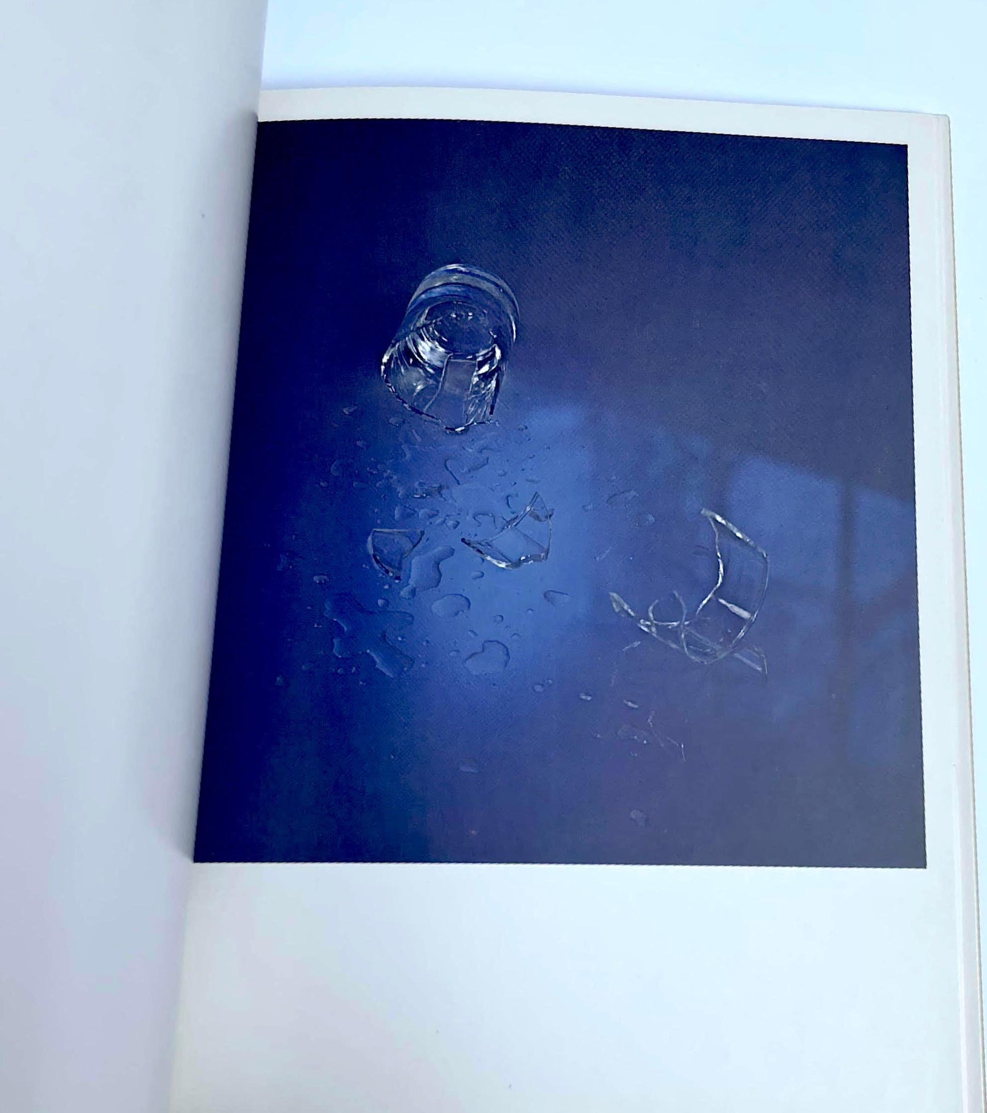 Libro d'artista Nove piscine e un vetro rotto Firmato a mano da Ed Ruscha LtEd in vendita 8