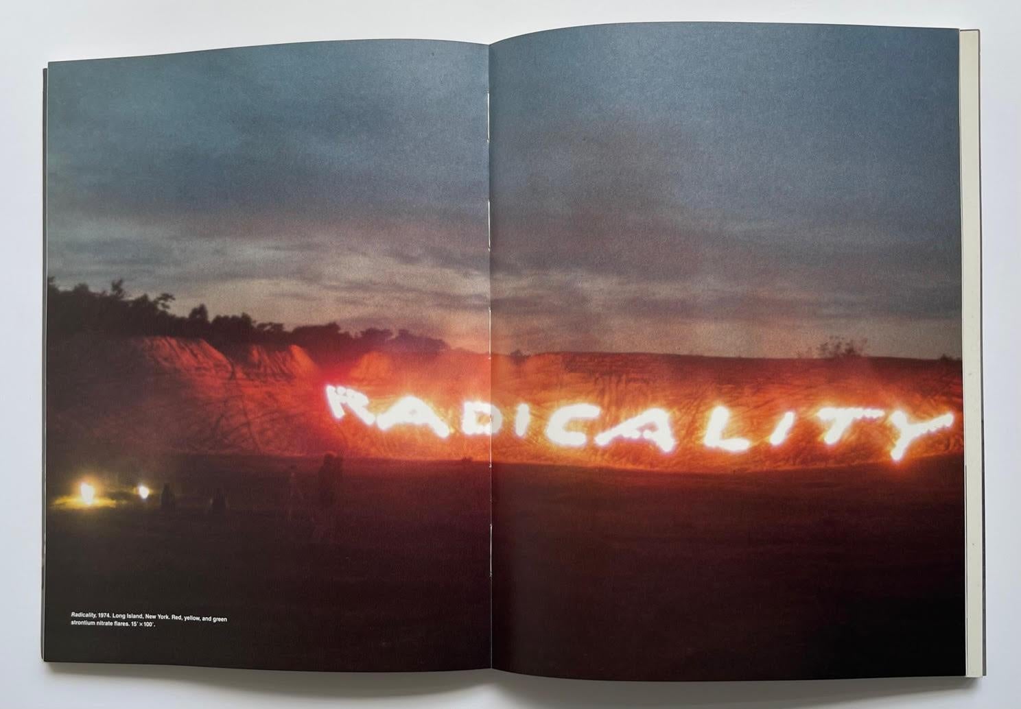 Libro: Selected Works 1967-90 And the Mind Grew Fingers (PIÙ lettera scritta a mano) in vendita 7