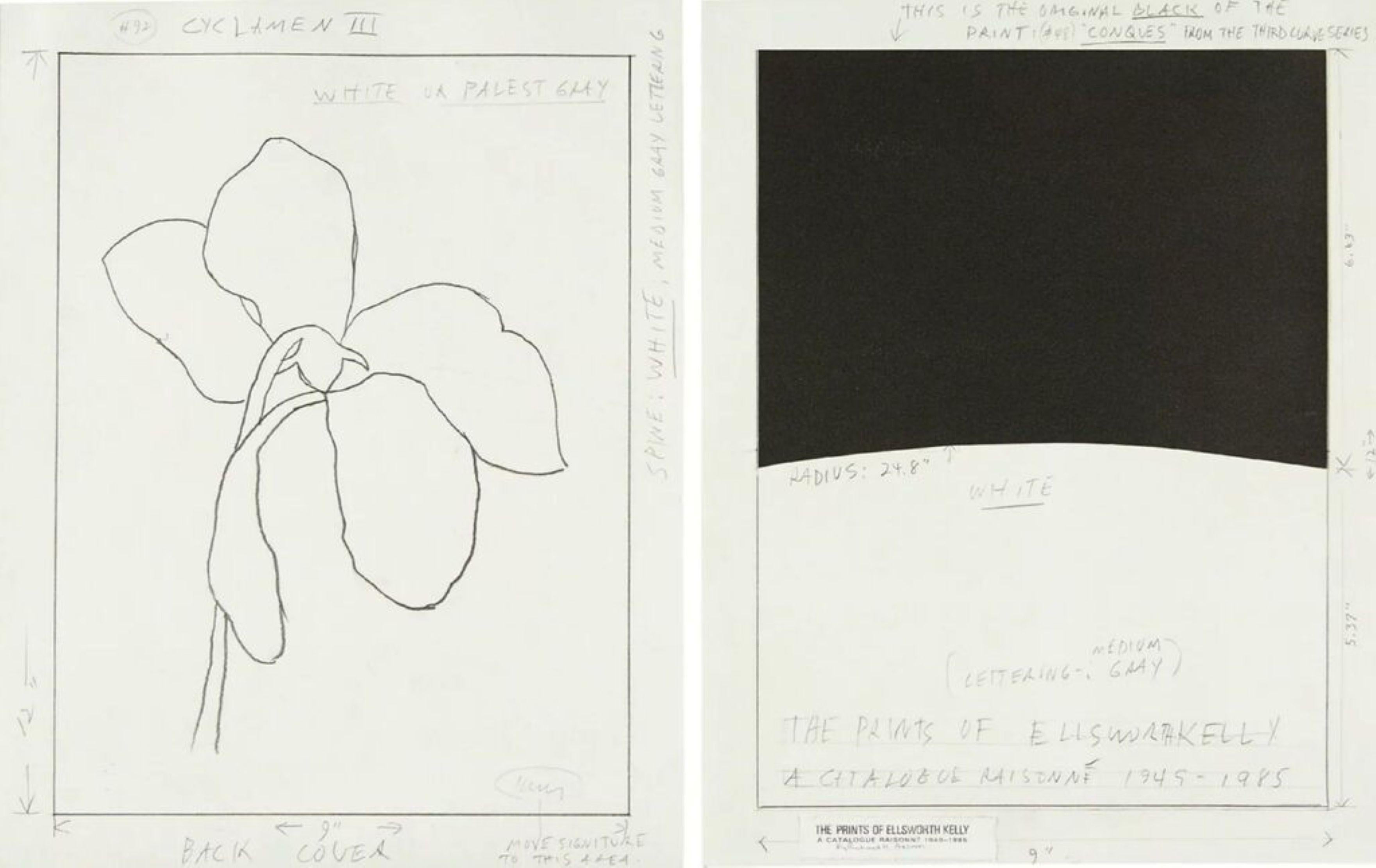 What is the meaning of Yellow Piece by Ellsworth Kelly?