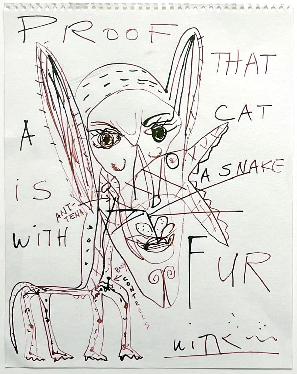 Proof that a Cat is a Snake with Fur, dessin original signé, unique, encadré - Art de Jerome Witkin
