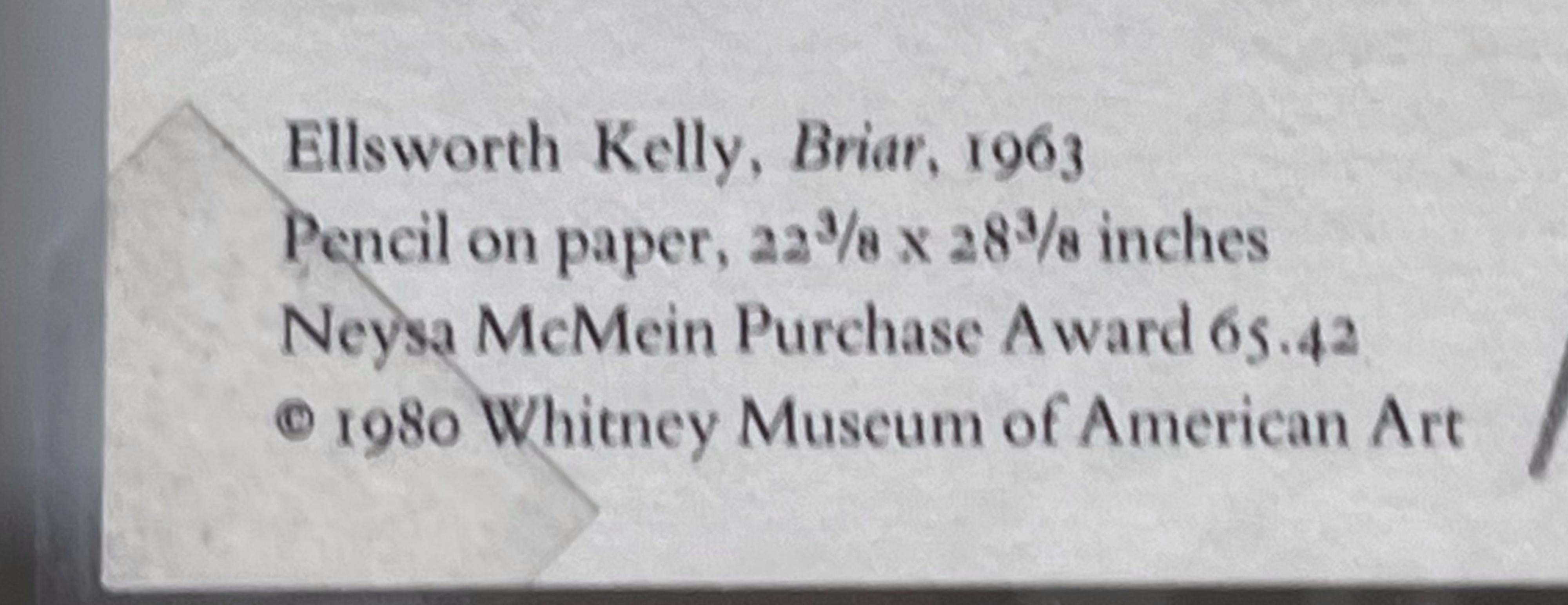 Note manuscrite et signée sur une carte adressée au caméraman et collectionneur de CBS Dan Pope, encadrée - Gris Figurative Art par Ellsworth Kelly