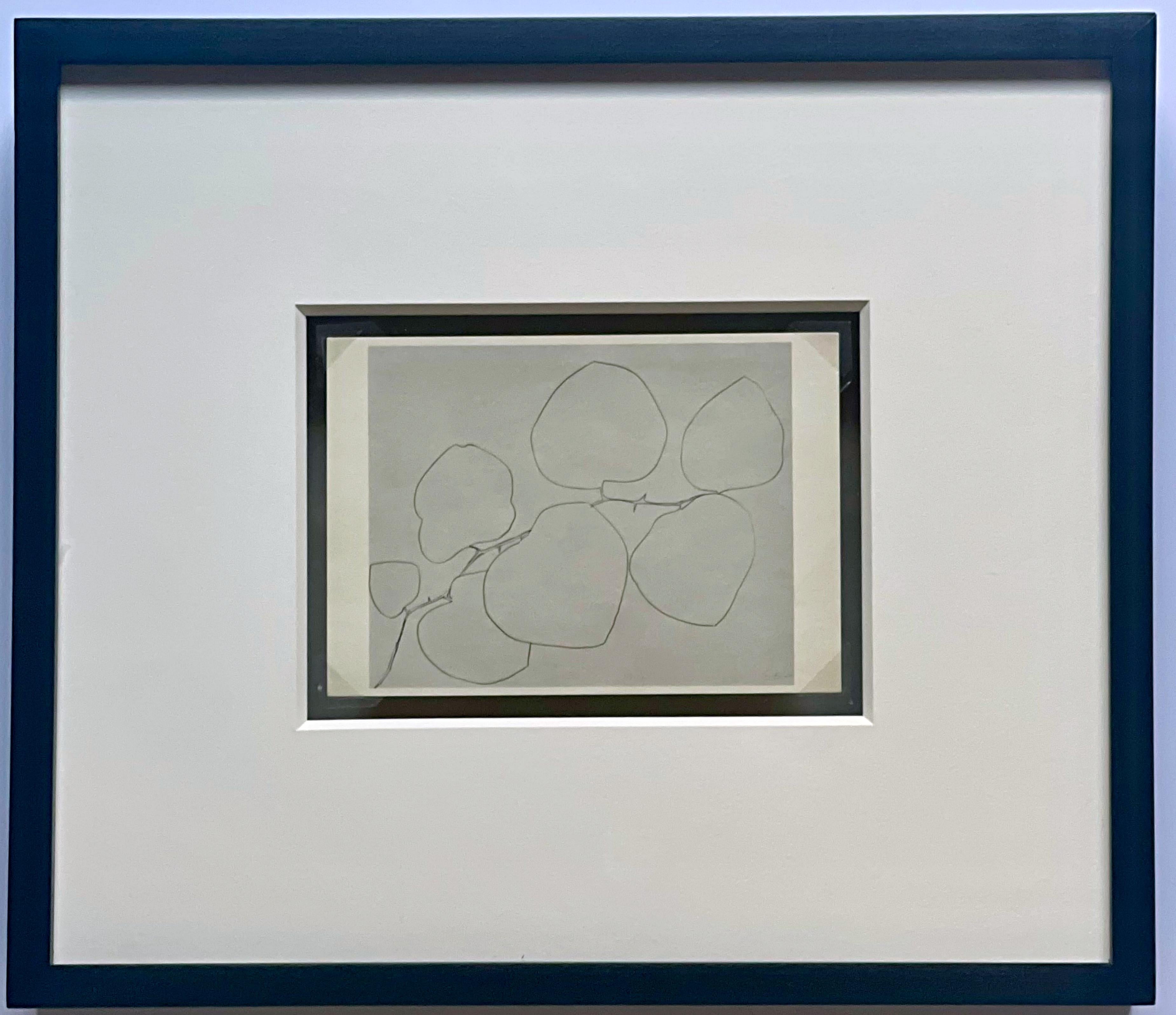 Ellsworth Kelly
Note manuscrite et signée sur une carte adressée au caméraman et collectionneur de CBS Dan Pope
Encre sur carte lithographique offset
Note manuscrite signée et inscrite à Dan Pope. Le texte est le suivant,
