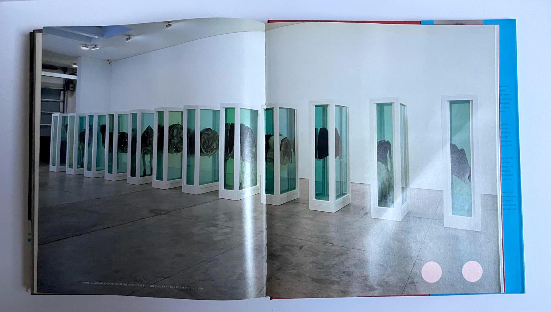 1stEd Hardback monograph (hand signed and inscribed by Hirst with heart drawing) For Sale 4