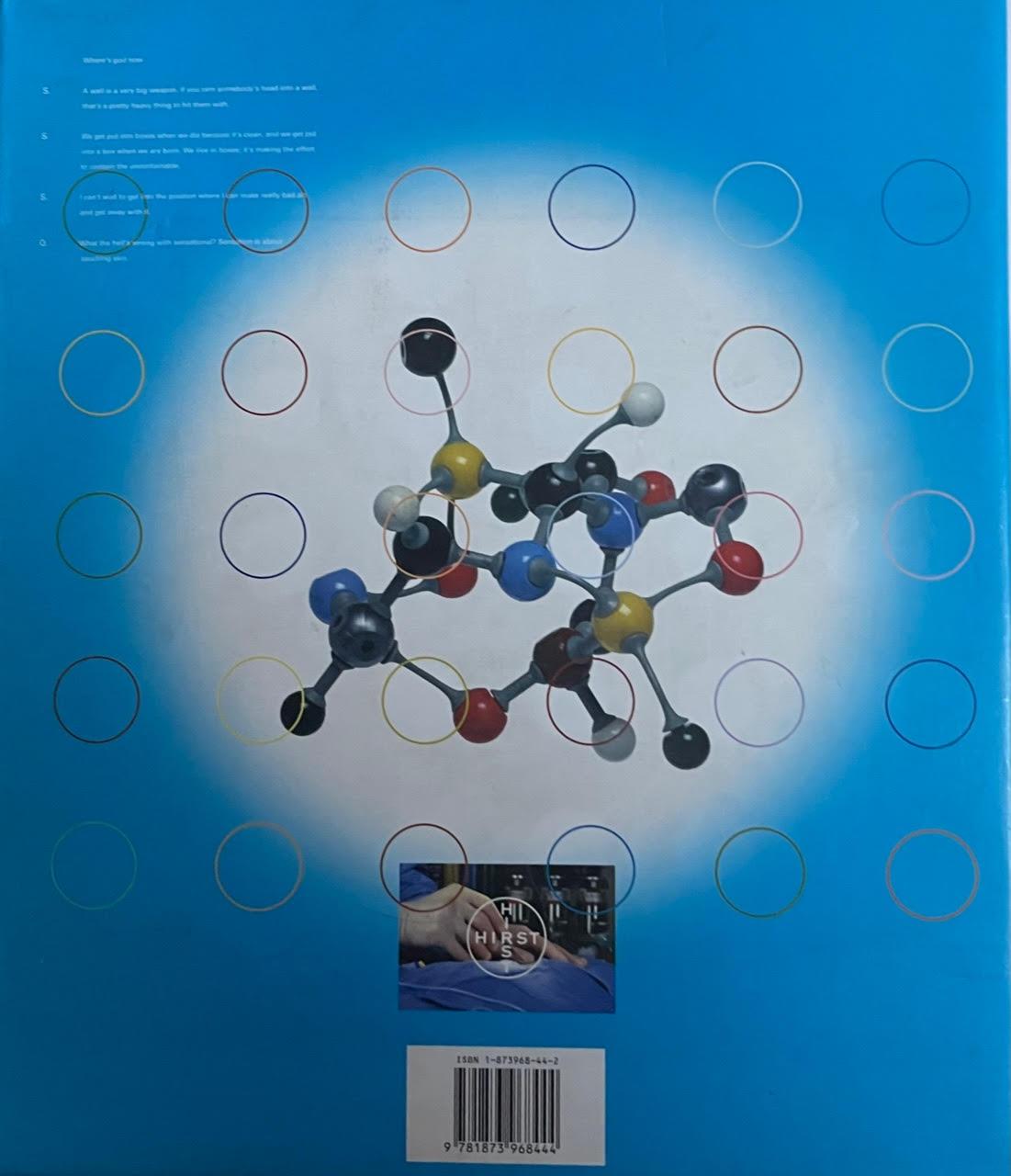 1stEd Hardback monograph (hand signed and inscribed by Hirst with heart drawing) For Sale 11