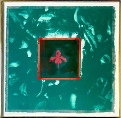 Turkey Dracula mixed media watercolor, California Pop star Signed AP 6/10 Framed