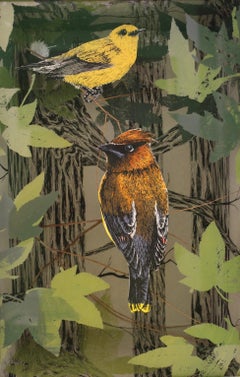 Warbler et cire dans la forêt des Bottomland