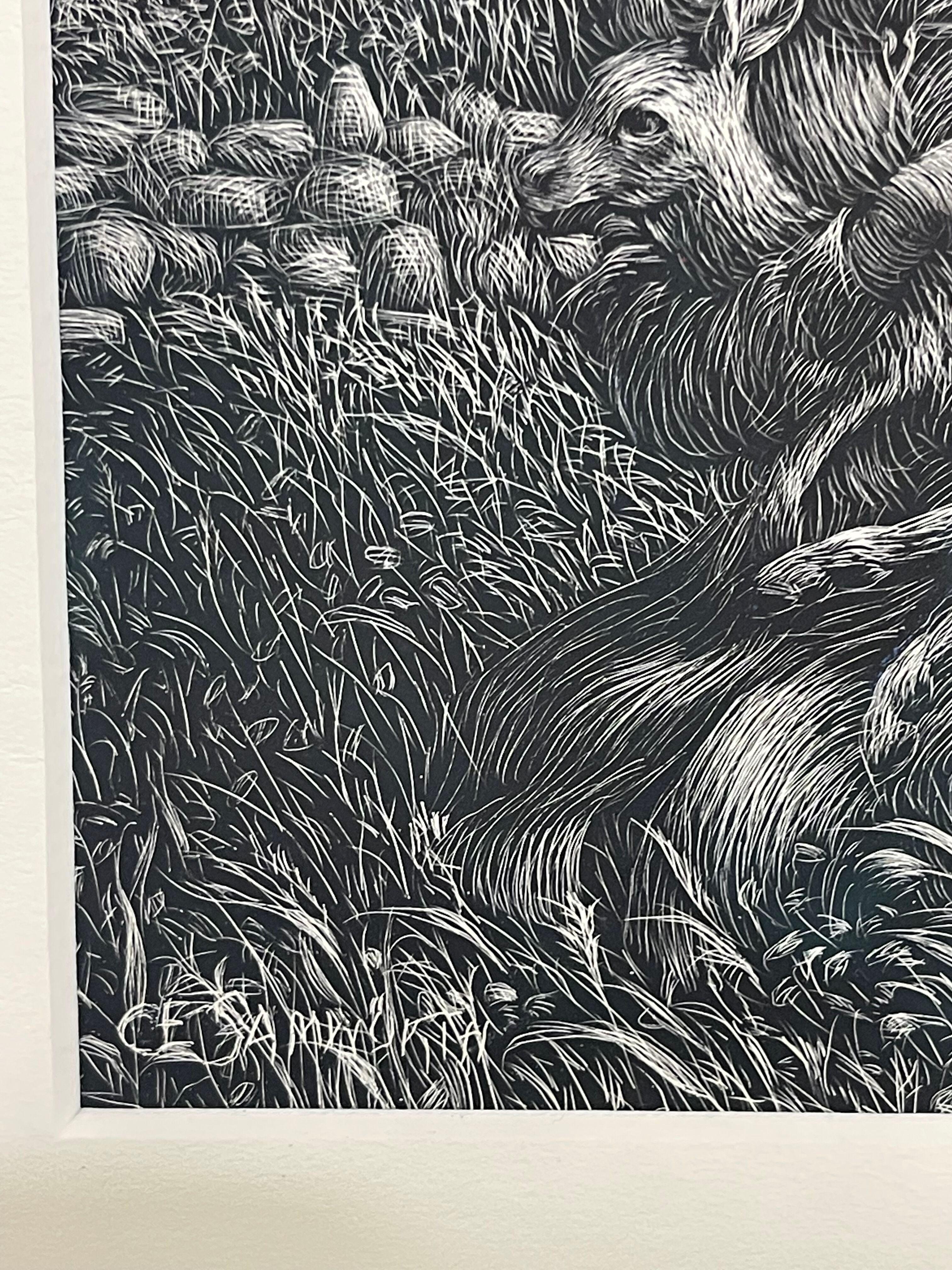 Kate Samworth is a Maryland-based artist who works with scratchboard, an illustrative technique using sharp knives and tools for engraving into a thin layer of white China clay that is coated with dark, often black India ink. Her series 