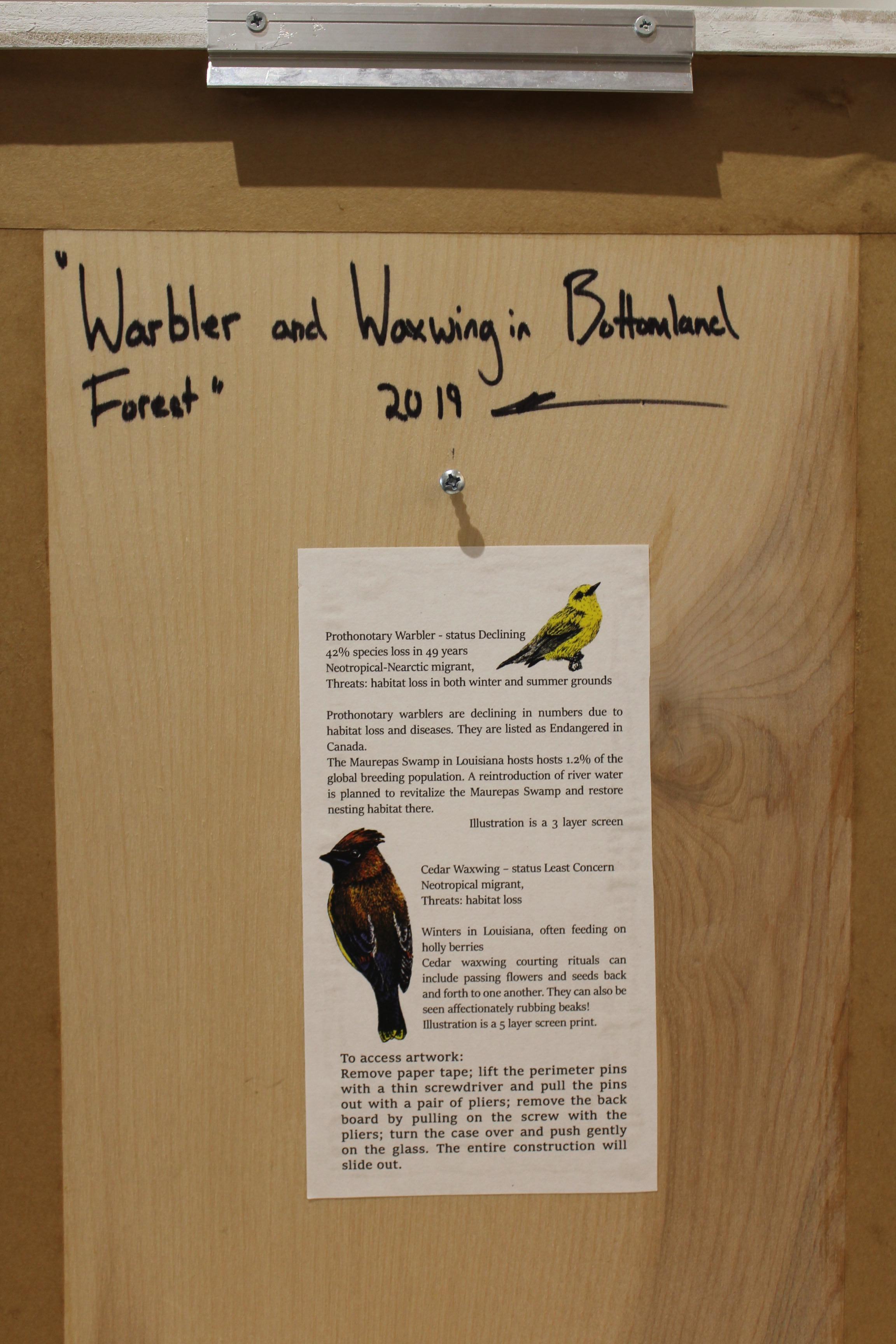 Warbler and Waxwing in Bottomland Forest For Sale 6