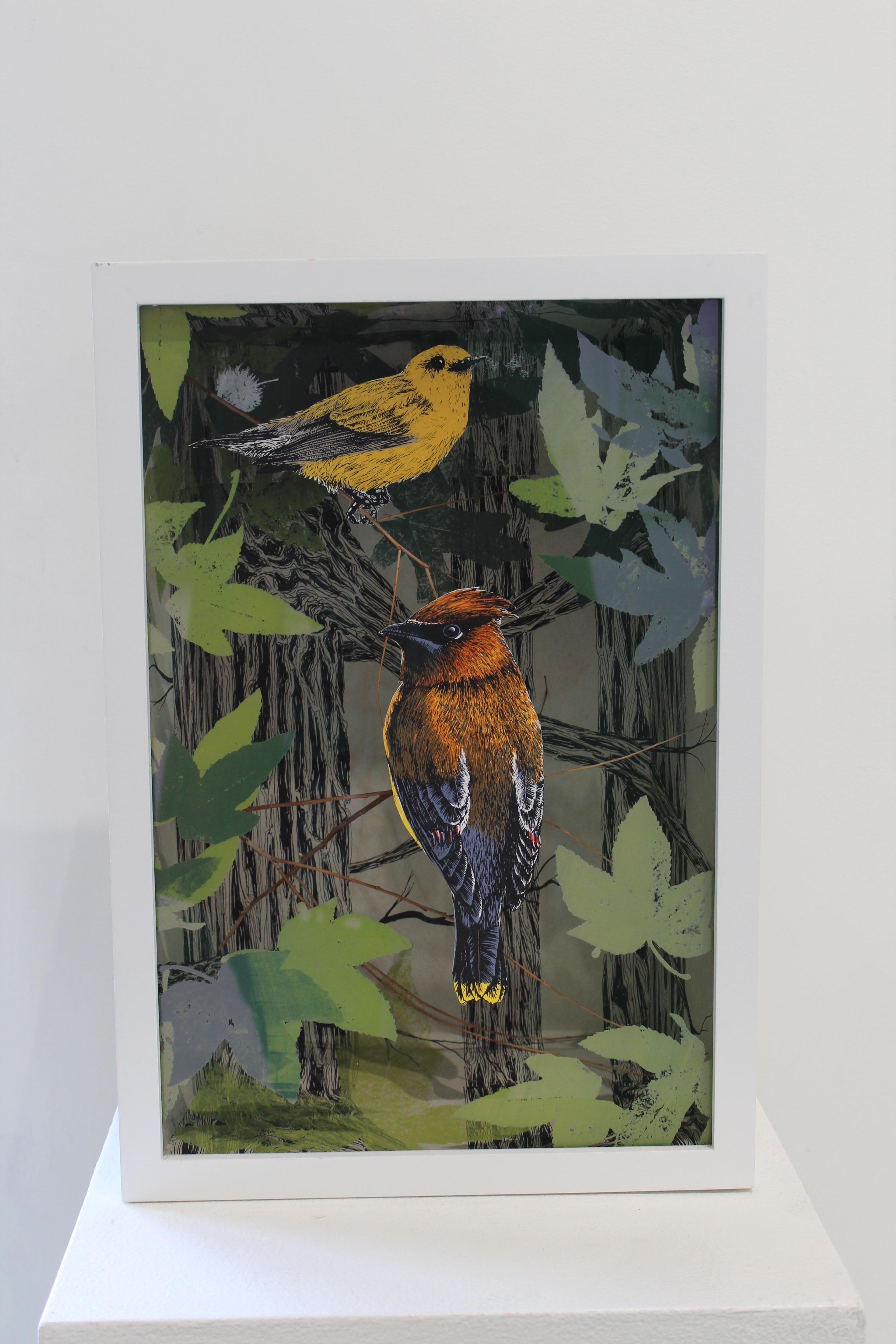Warbler and Waxwing in Bottomland Forest - Print by Pippin Frisbie-Calder