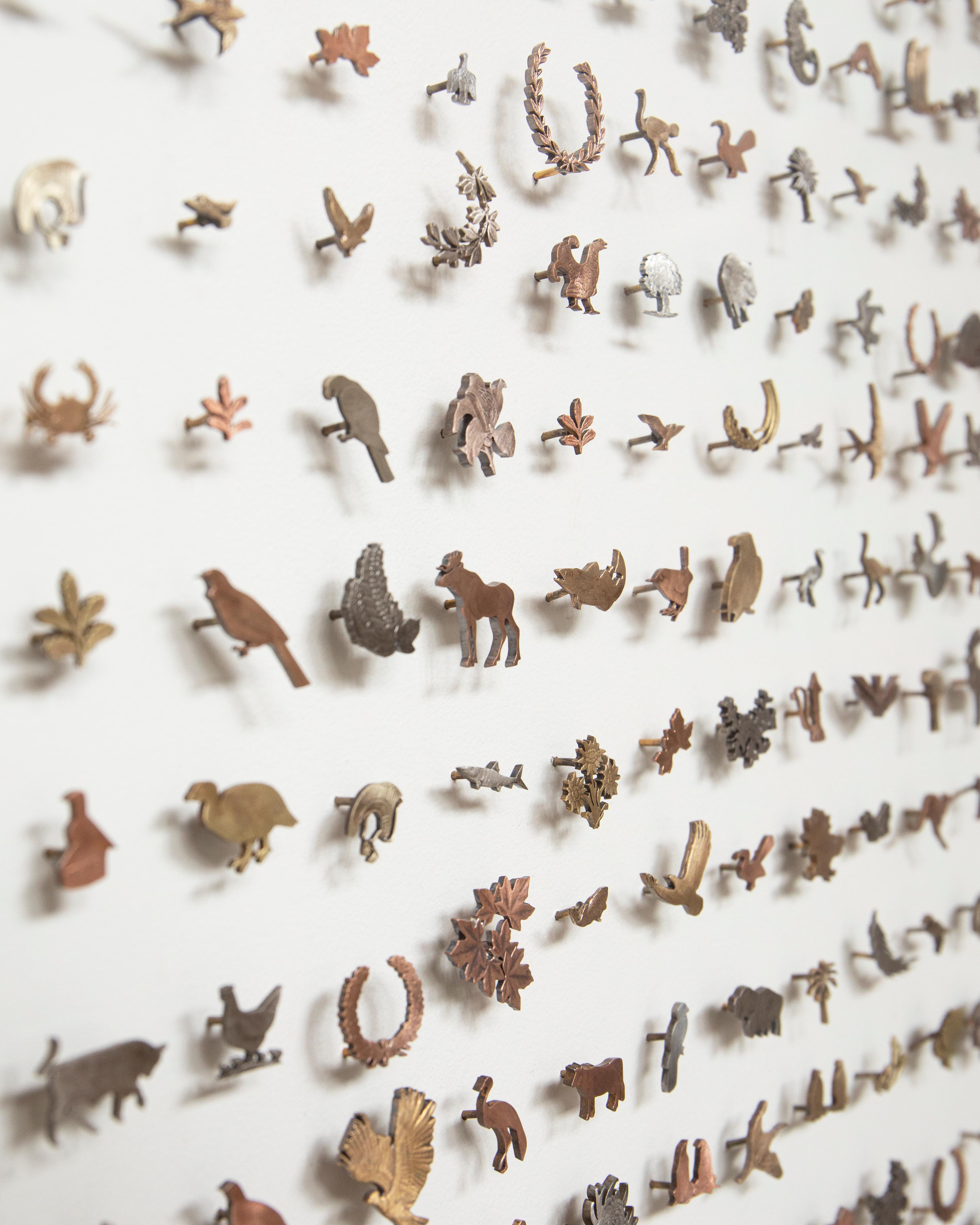 Stacey Lee Webber

Collection Flora & Fauna

23