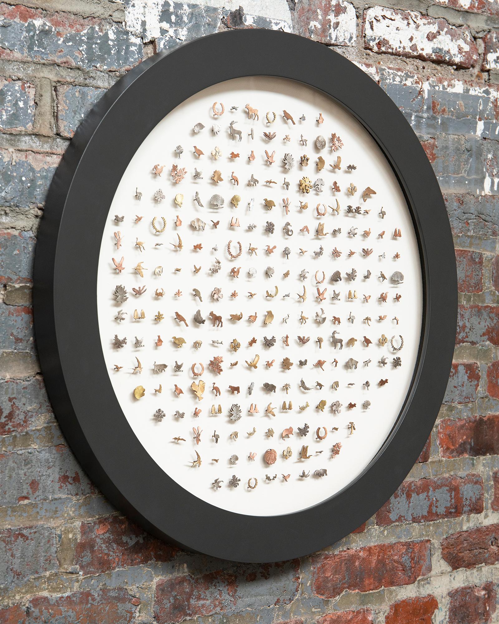 Collection Flora & Fauna 1