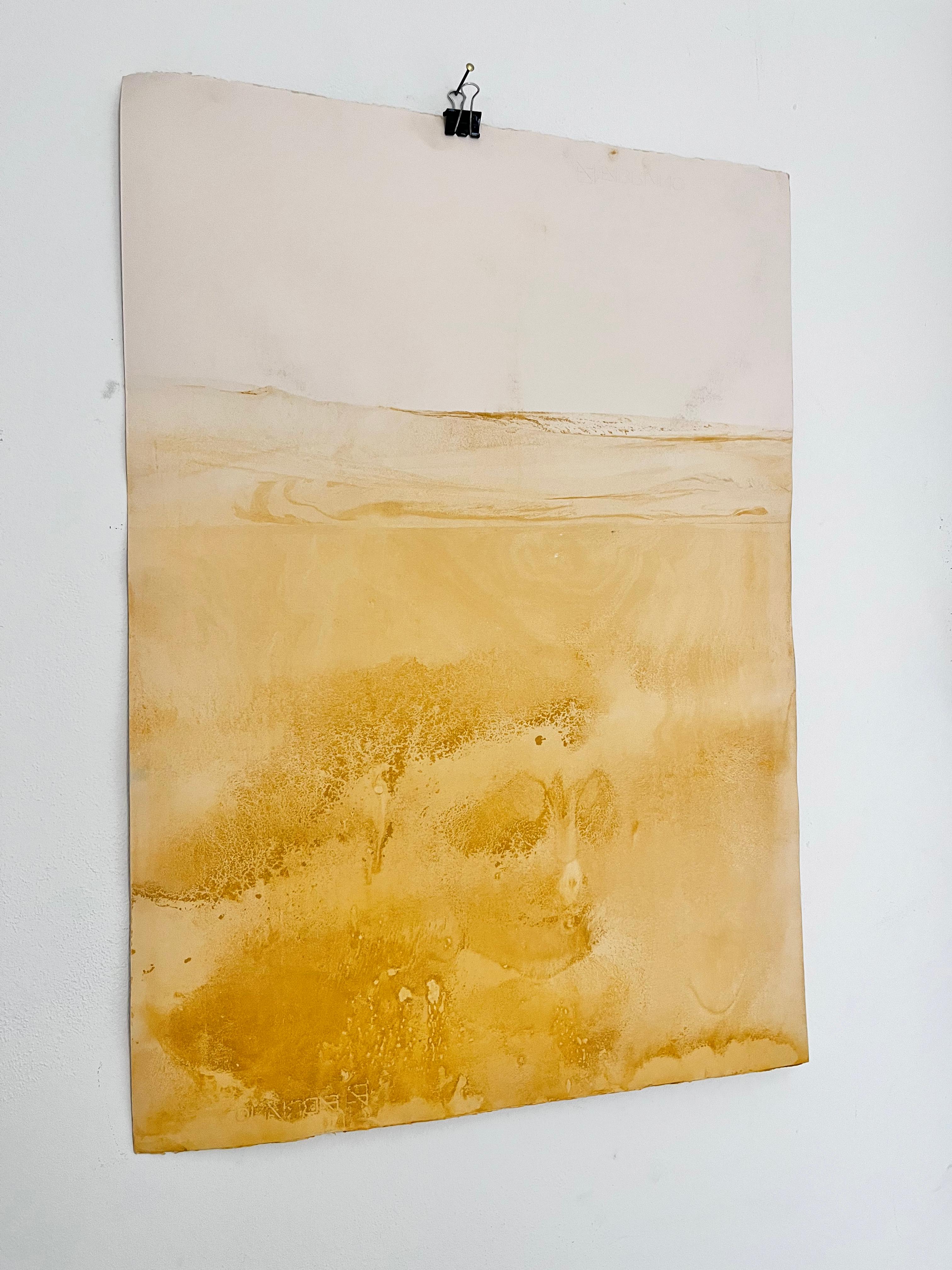 Landscape
mineral oxide on Paper
(Fabriano Rosaspina Papers)
original ART
50x70 cm
