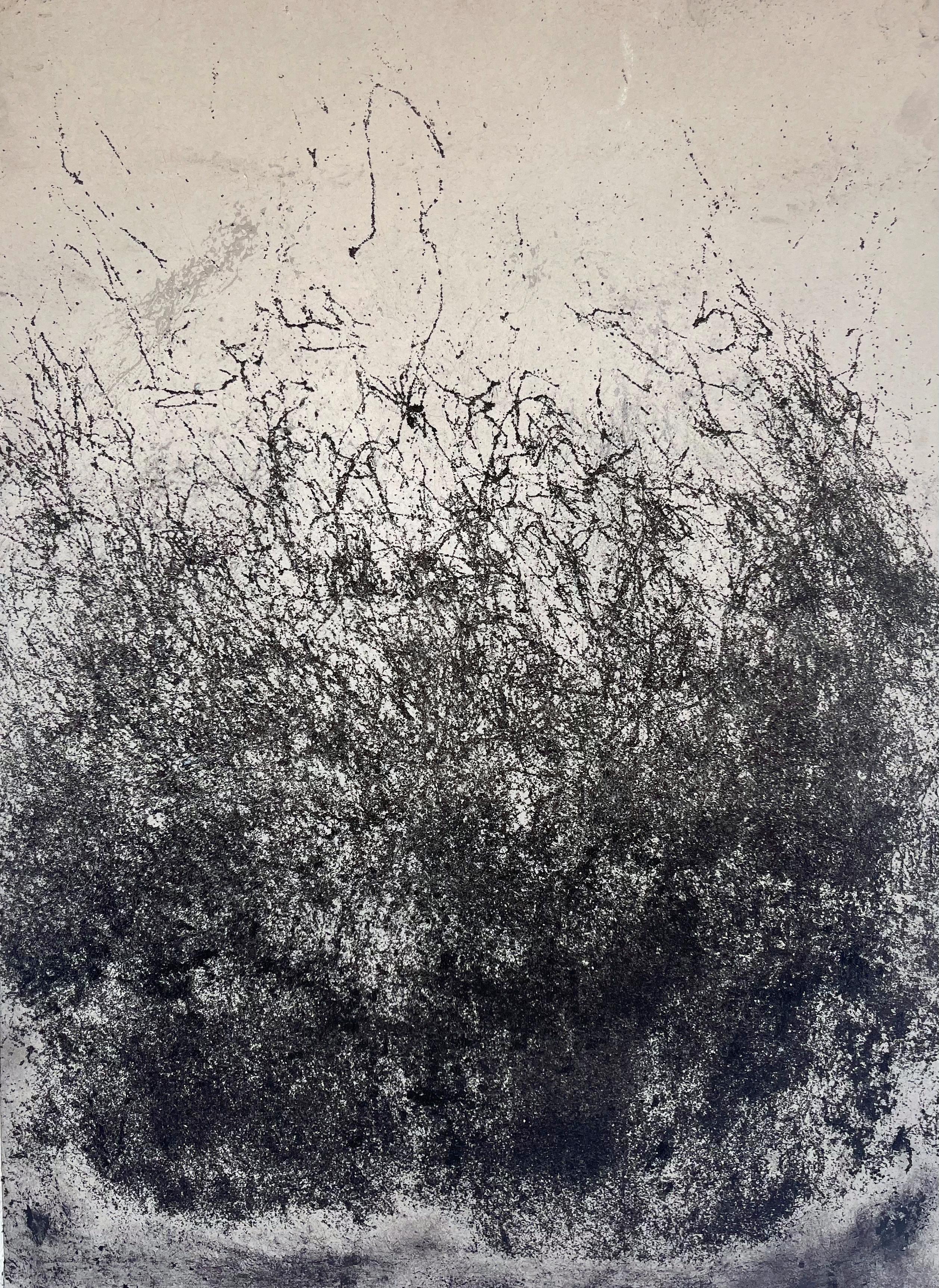 Landscape BW-Etna- Original Conceptual Art By Marilina Marchica 9